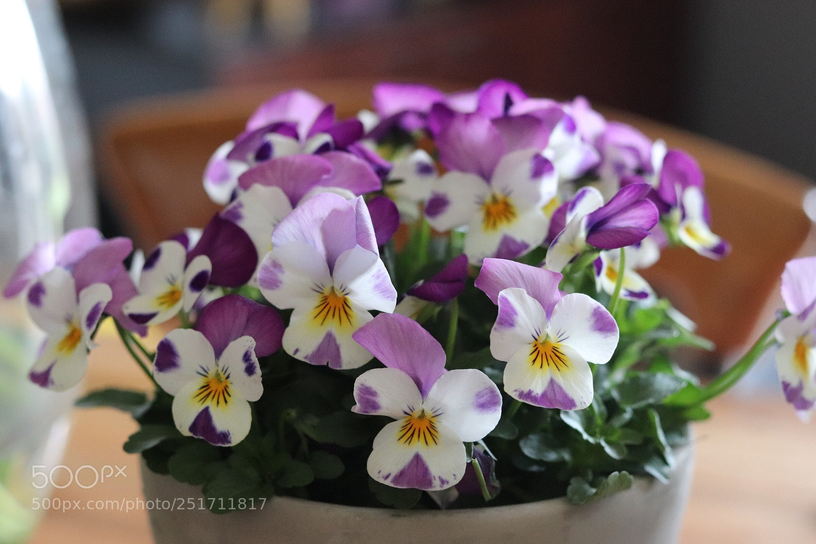 Canon EOS 77D (EOS 9000D / EOS 770D) sample photo. Happy eastern! photography