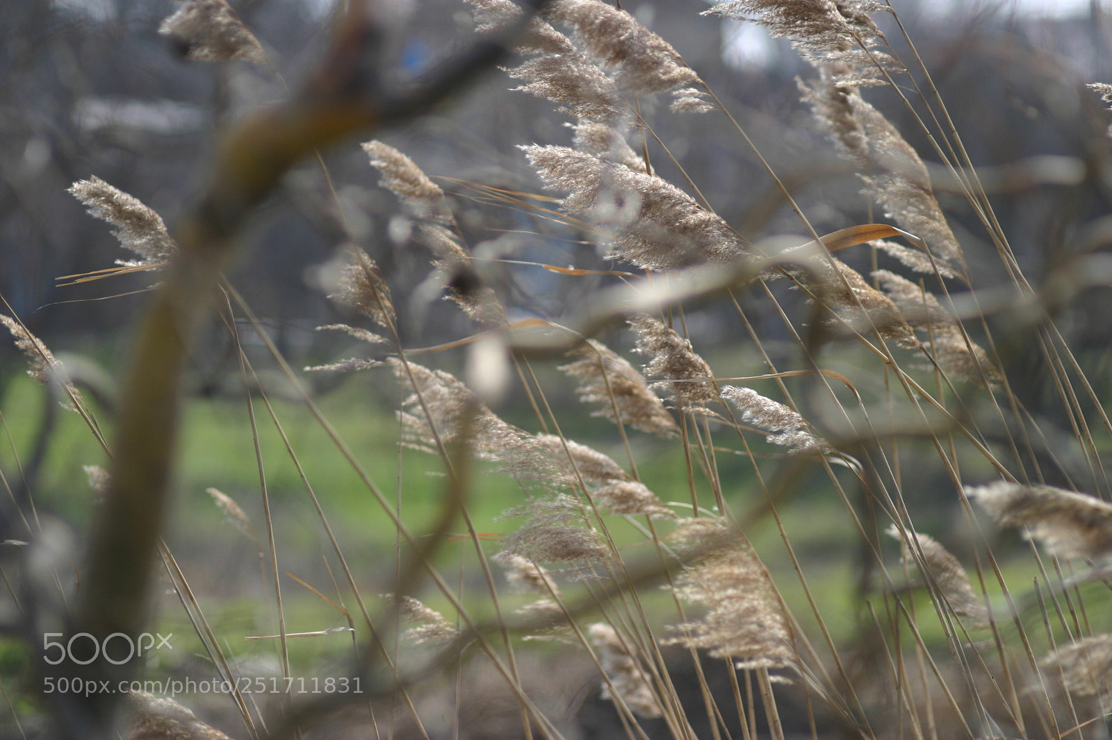 Canon EOS 10D sample photo. Untitled photography