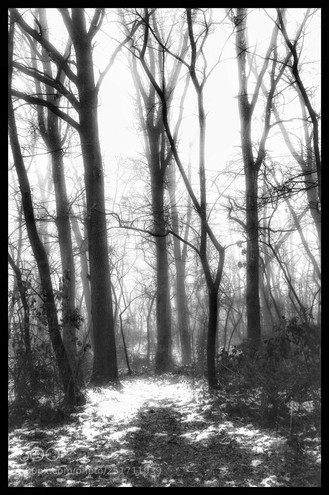 Canon EOS 7D sample photo. Untitled photography
