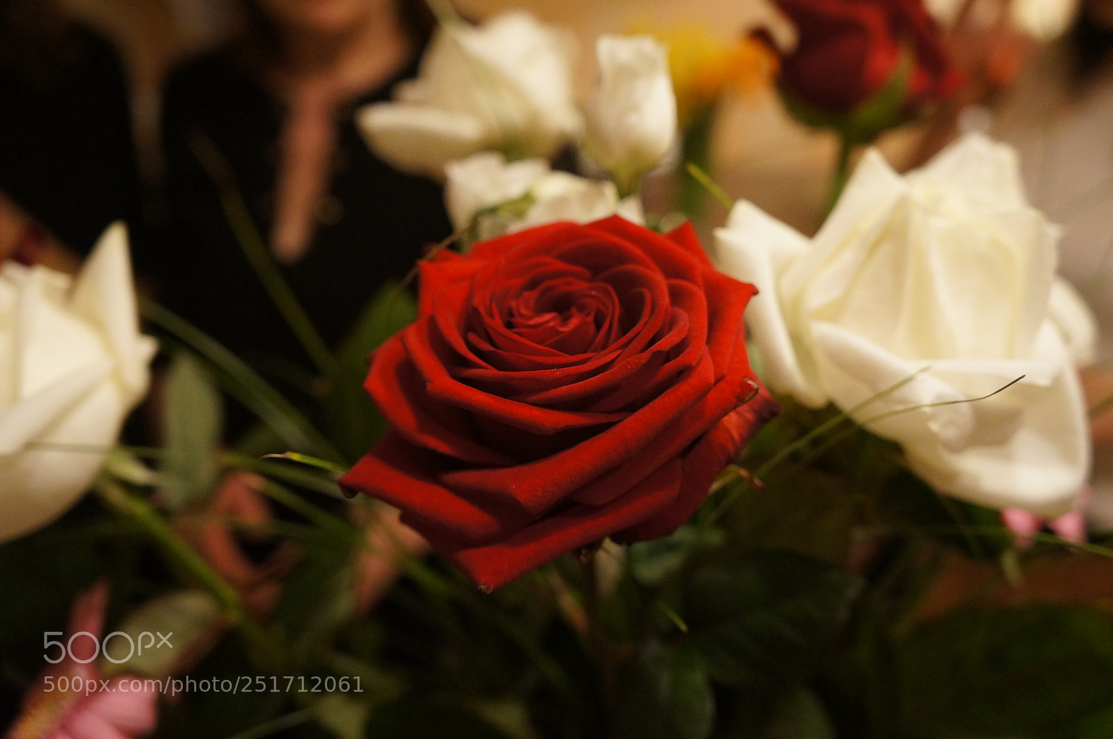 Sony Alpha NEX-5N sample photo. Beauty photography