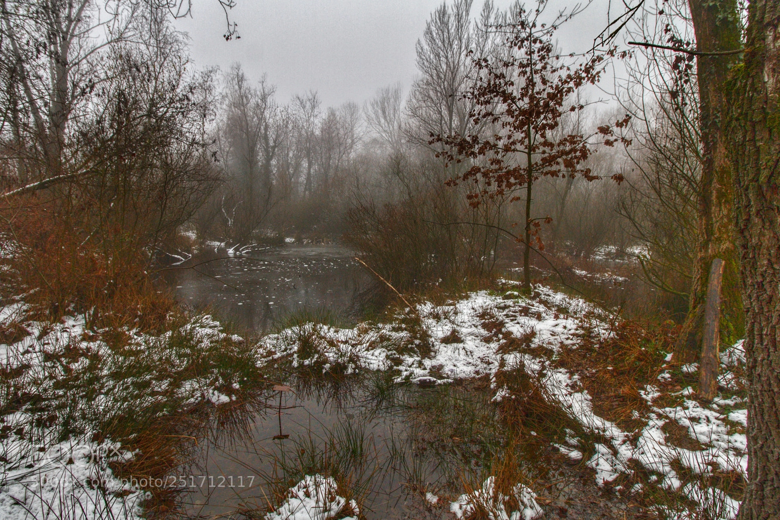 Canon EOS 7D sample photo. Untitled photography