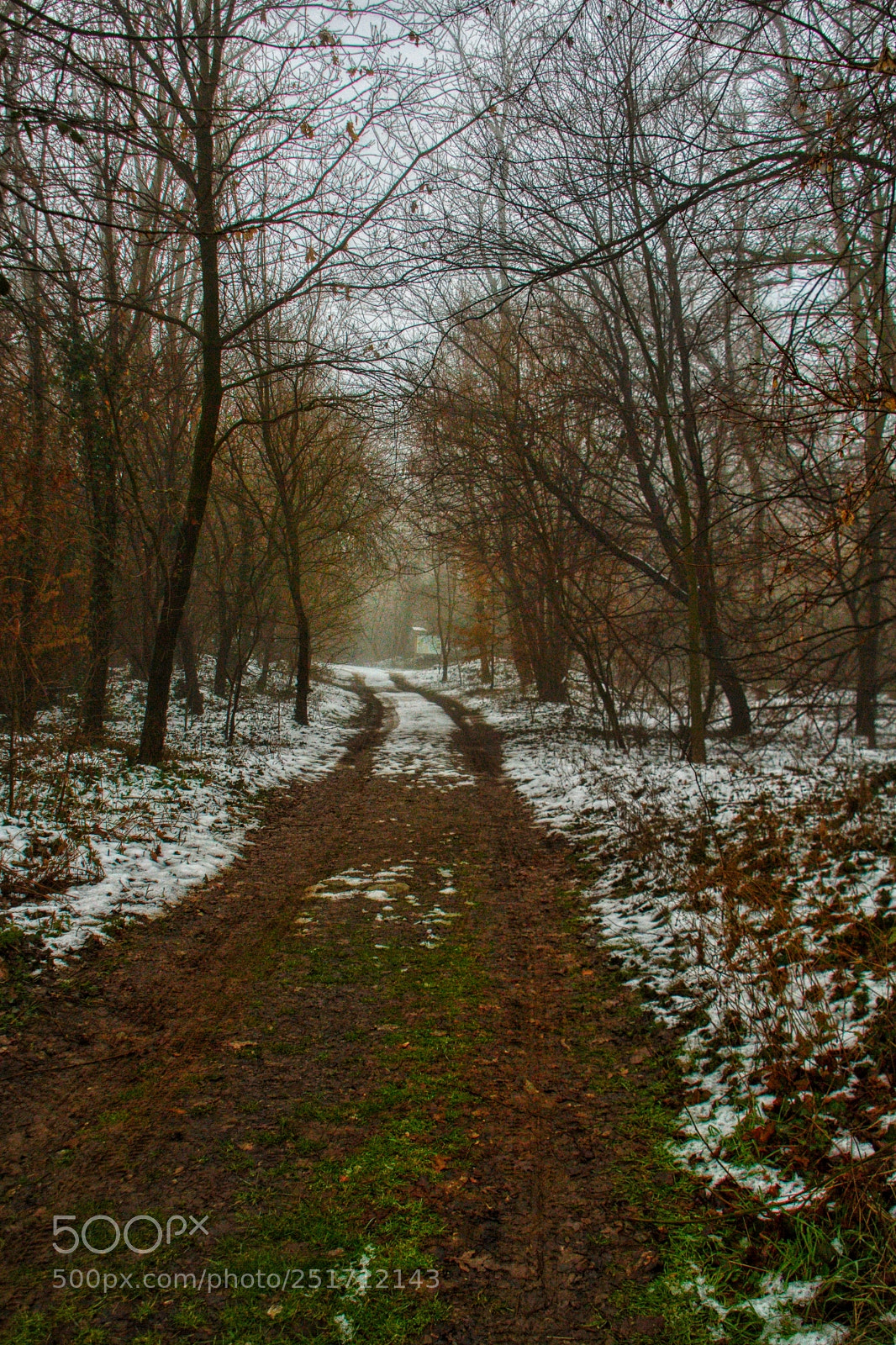 Canon EOS 7D sample photo. Untitled photography