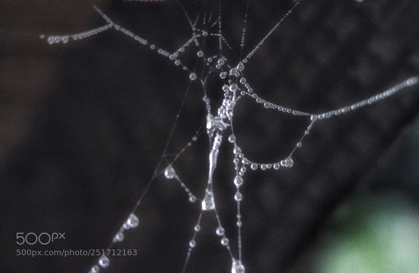 Canon EOS 7D sample photo. Untitled photography