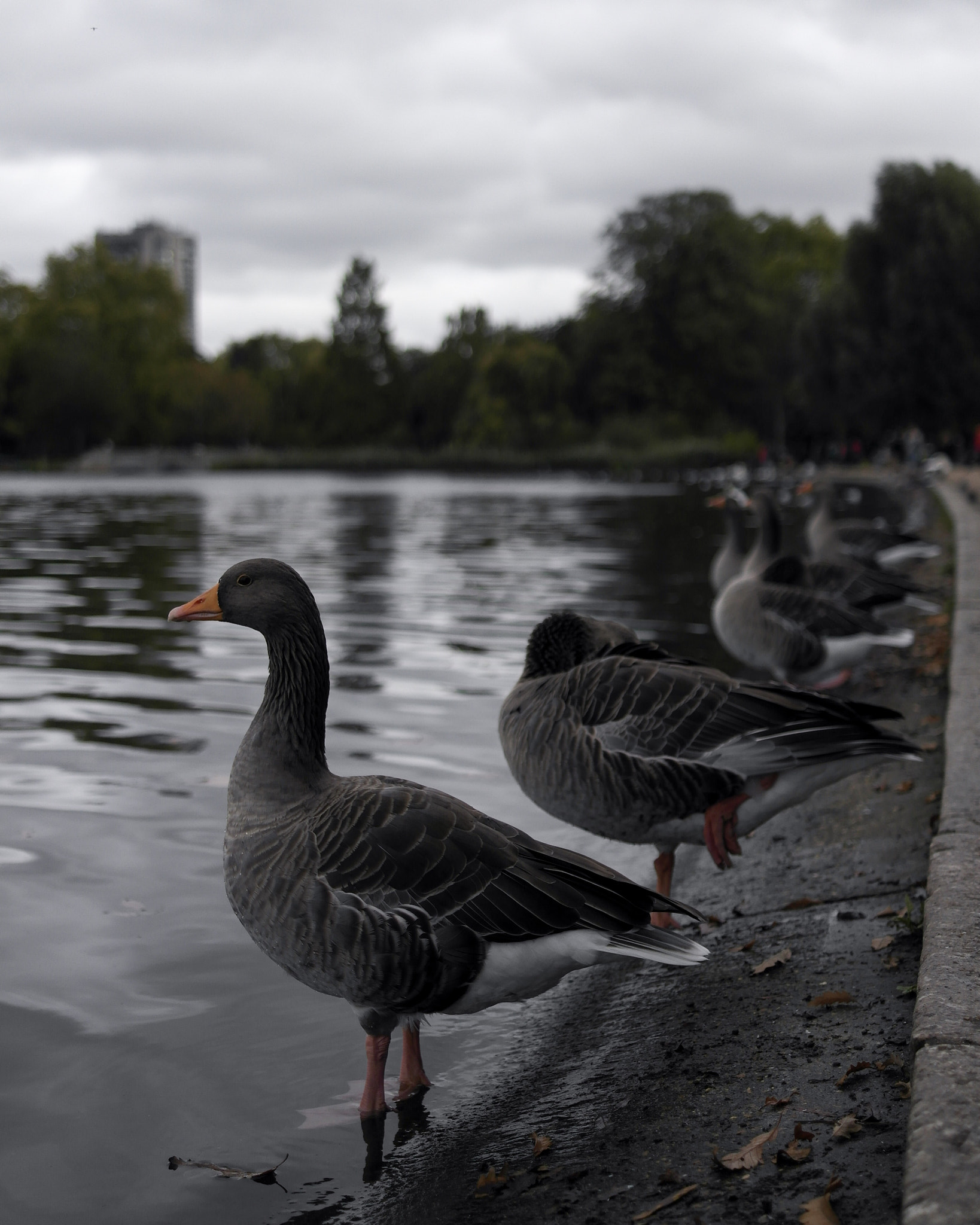 Samsung NX20 sample photo
