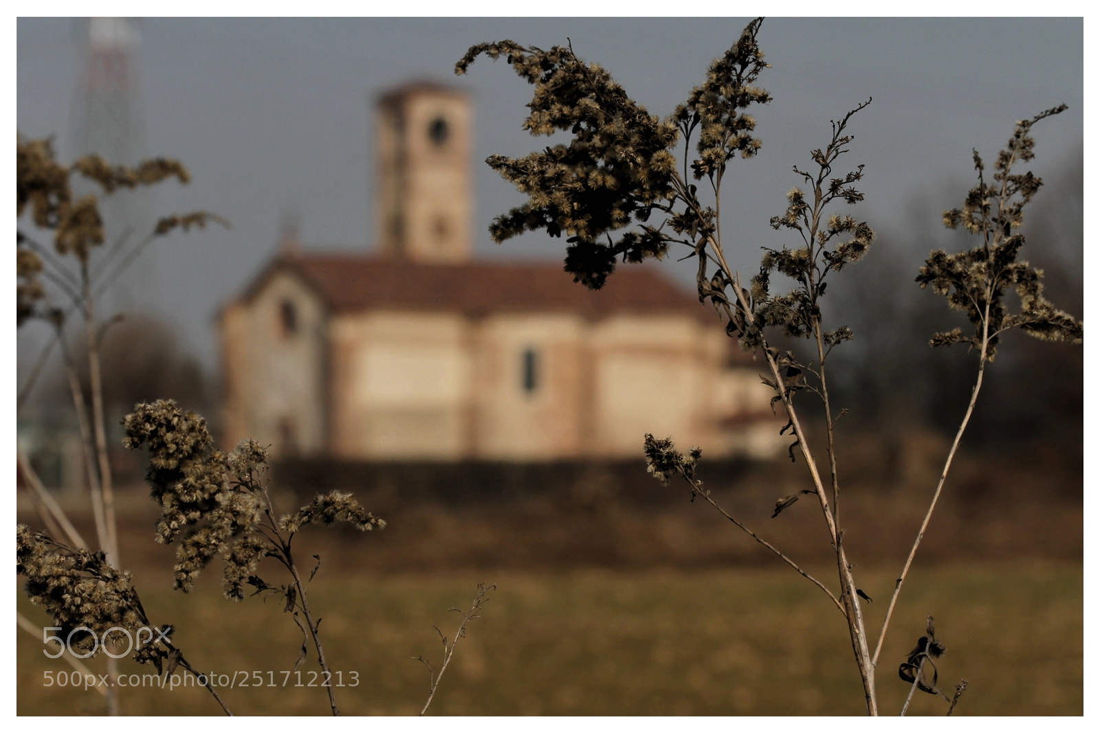Canon EOS 7D sample photo. Untitled photography
