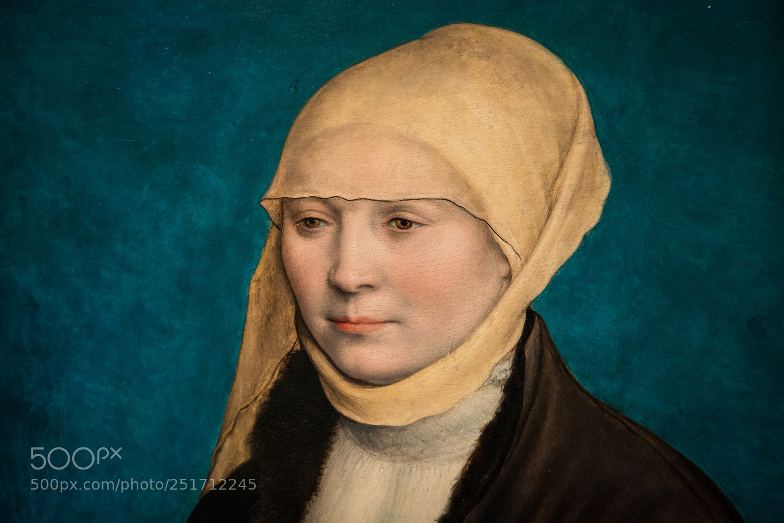 Nikon D7100 sample photo. Mauritshuis photography