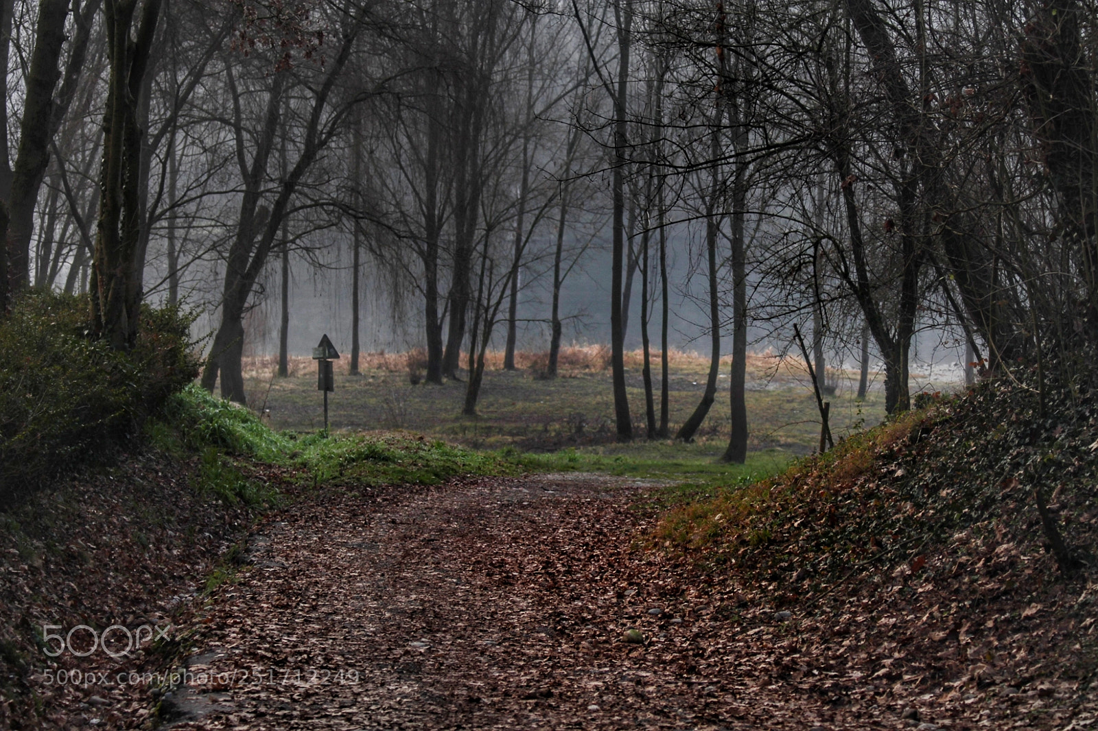 Canon EOS 7D sample photo. Untitled photography