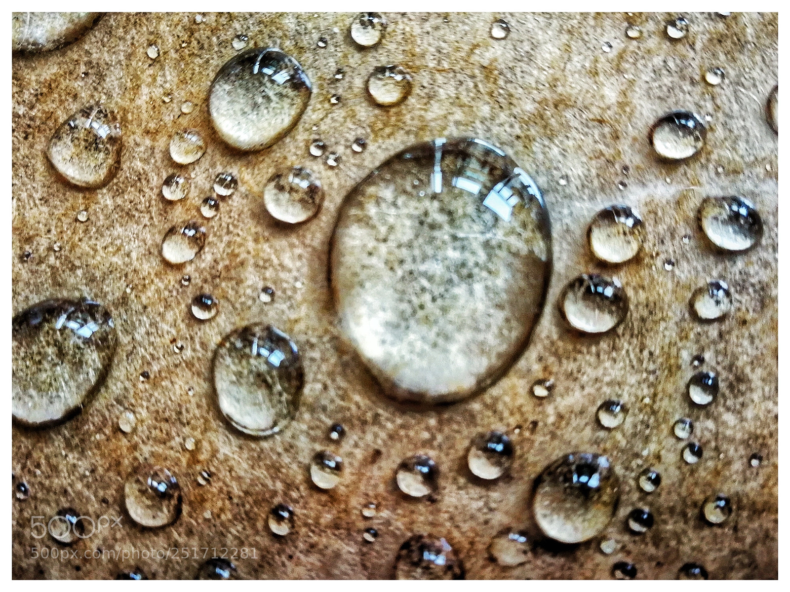 HUAWEI P10 sample photo. Untitled photography