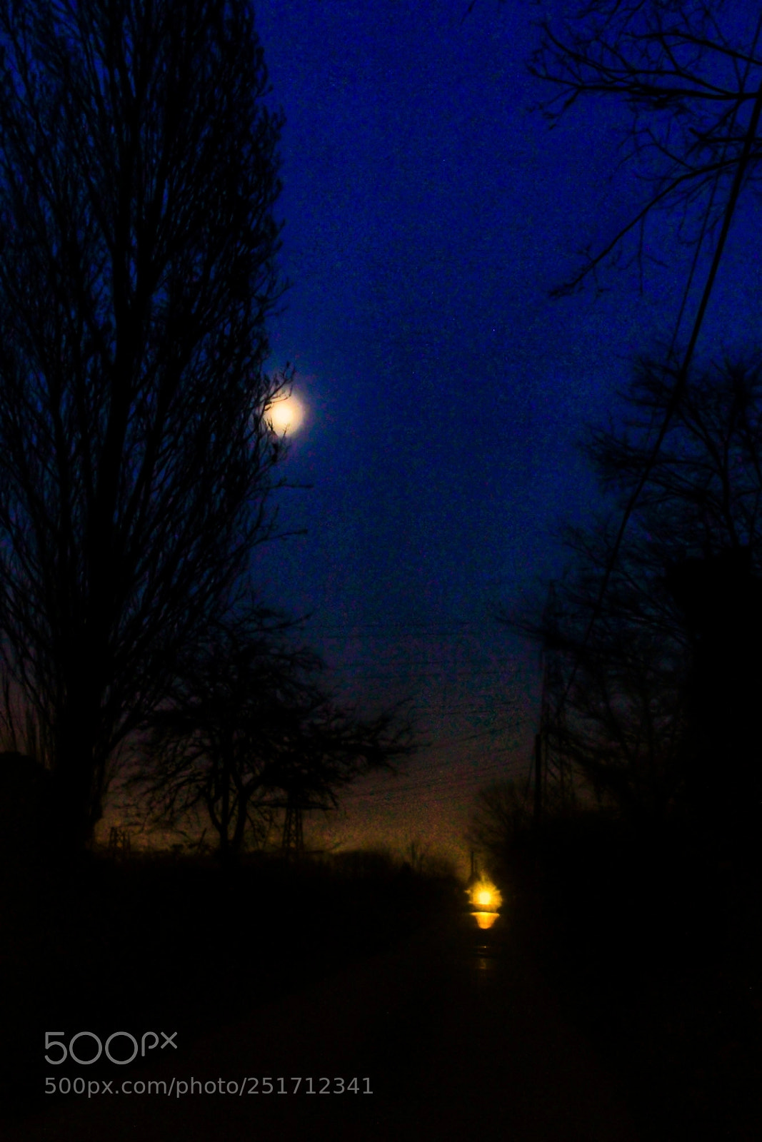 Canon EOS 7D sample photo. Untitled photography