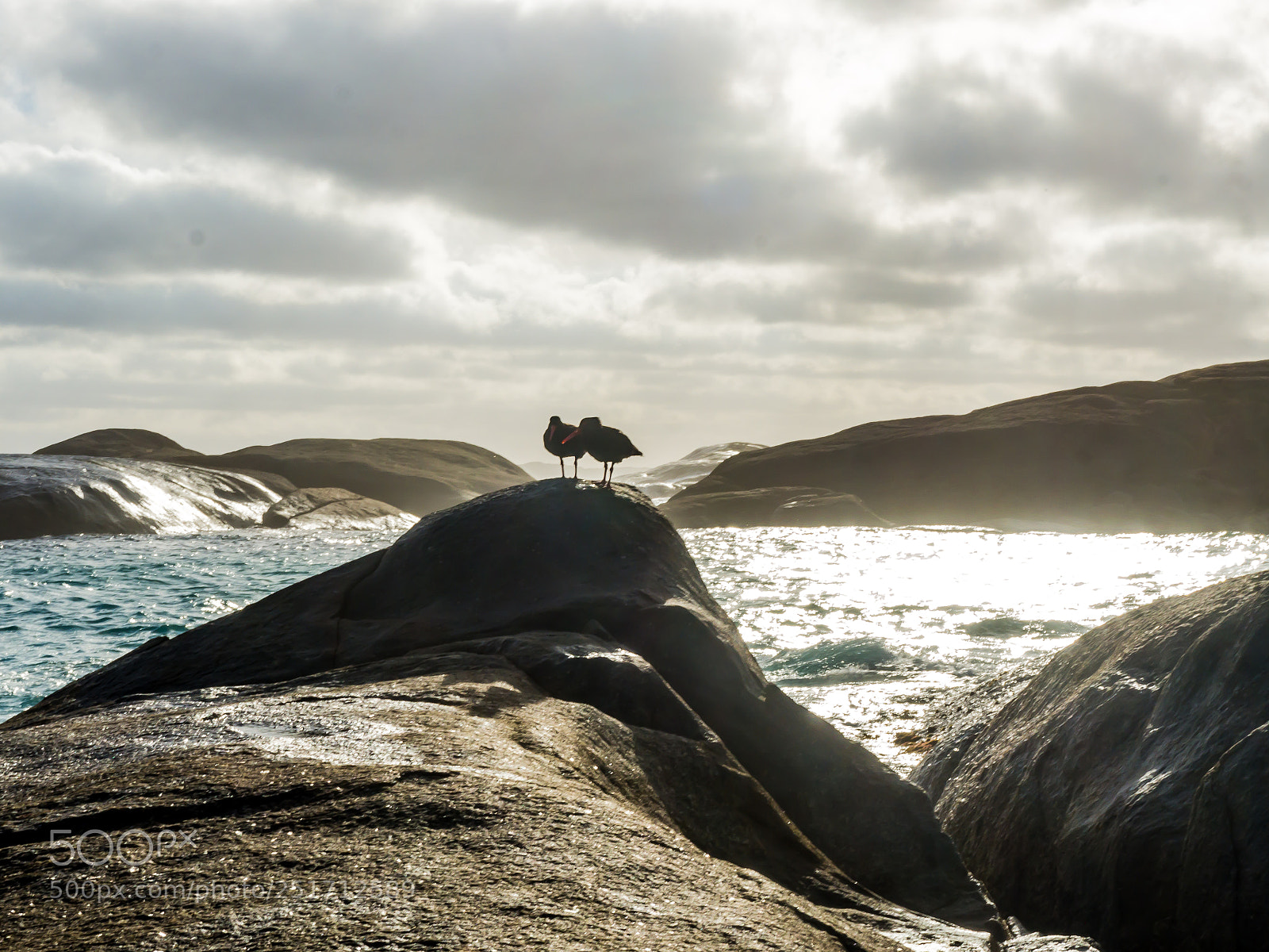 Olympus OM-D E-M10 sample photo. Fishermen photography