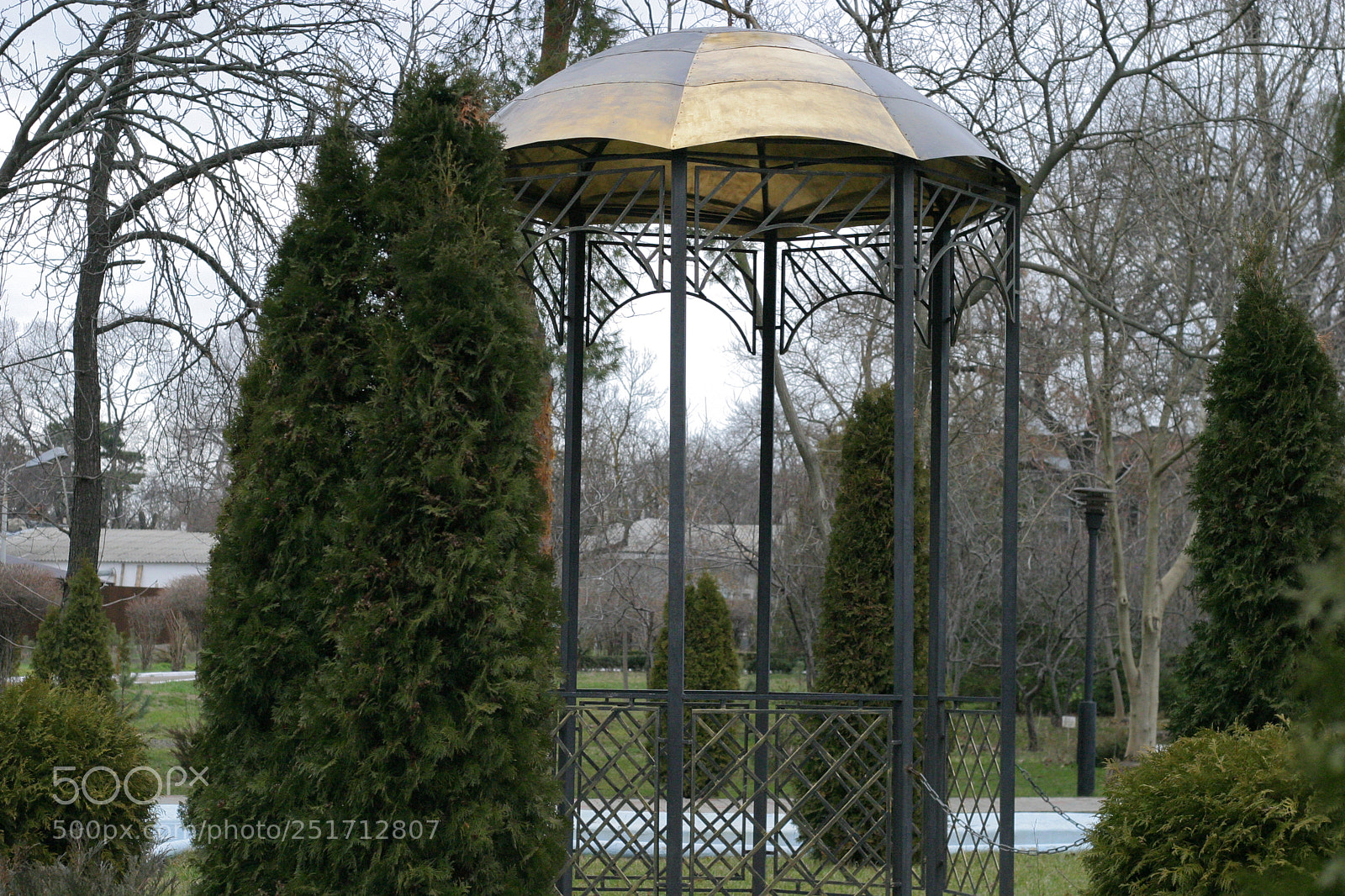Canon EOS 10D sample photo. Untitled photography