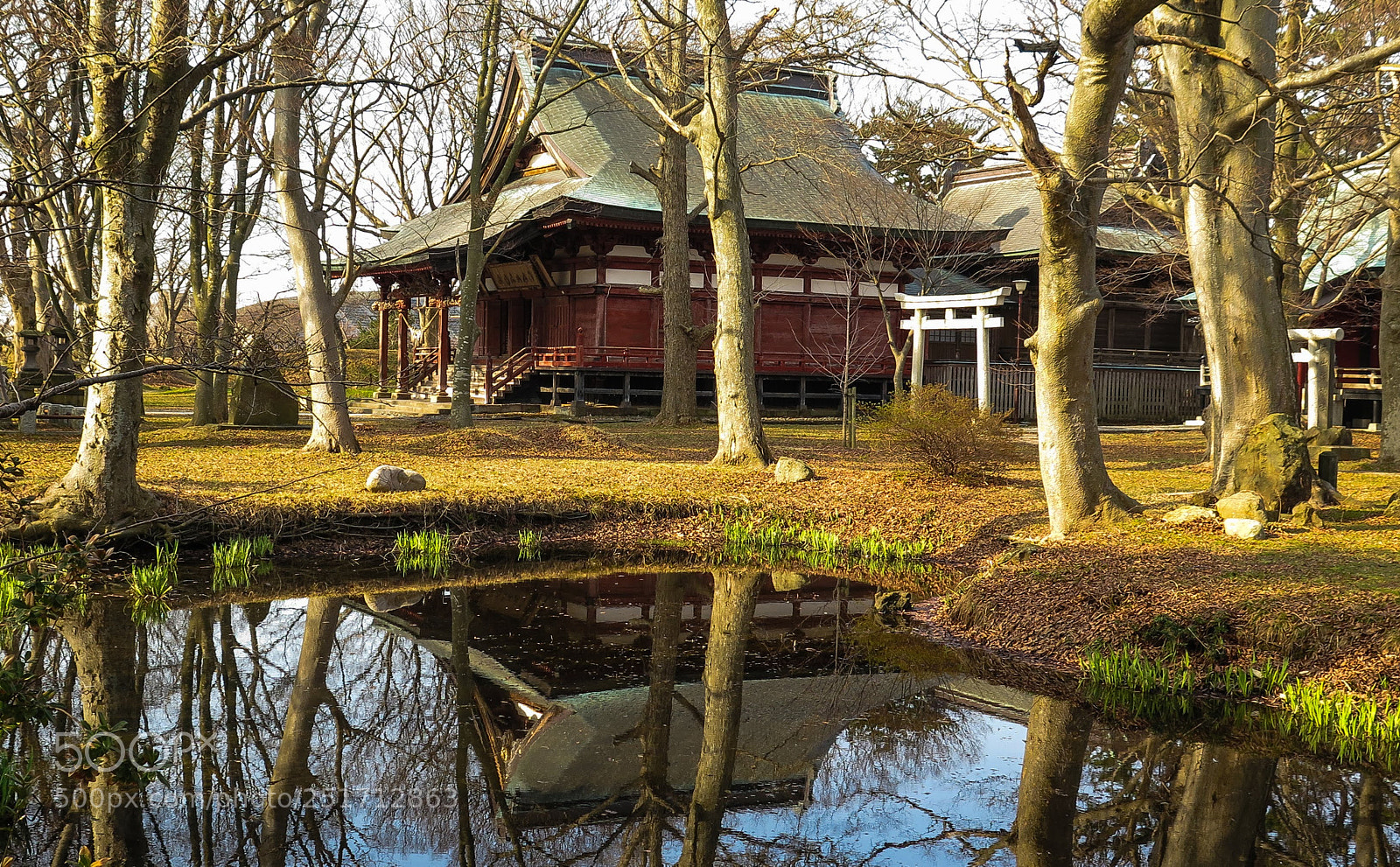 Canon PowerShot G16 sample photo. Hiehachiman shrine photography
