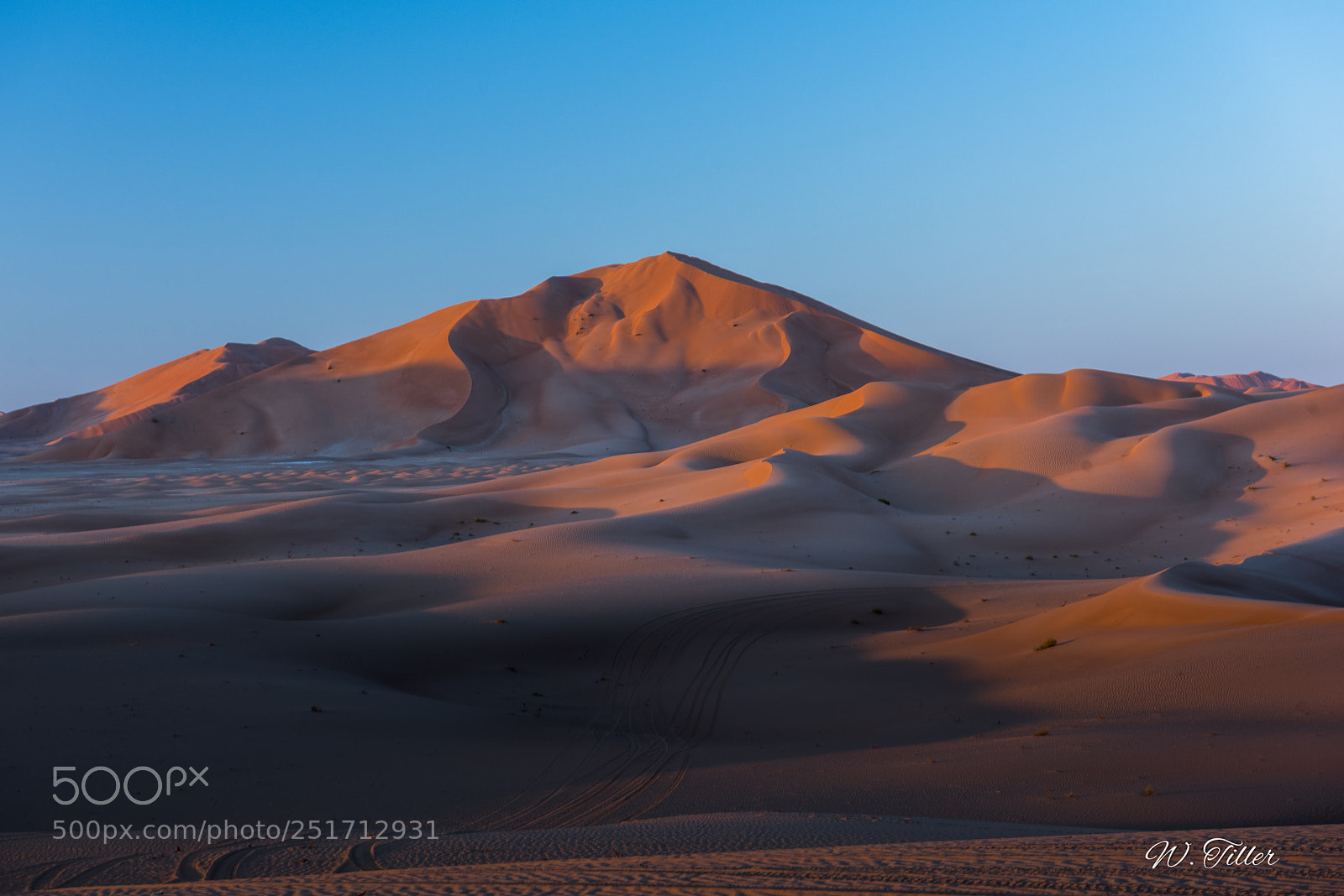 Nikon D810 sample photo. Rub al-kahli photography