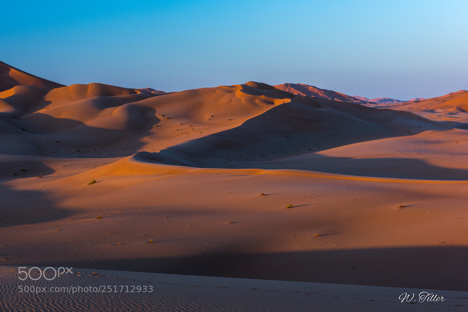 Nikon D810 sample photo. Rub al-kahli photography