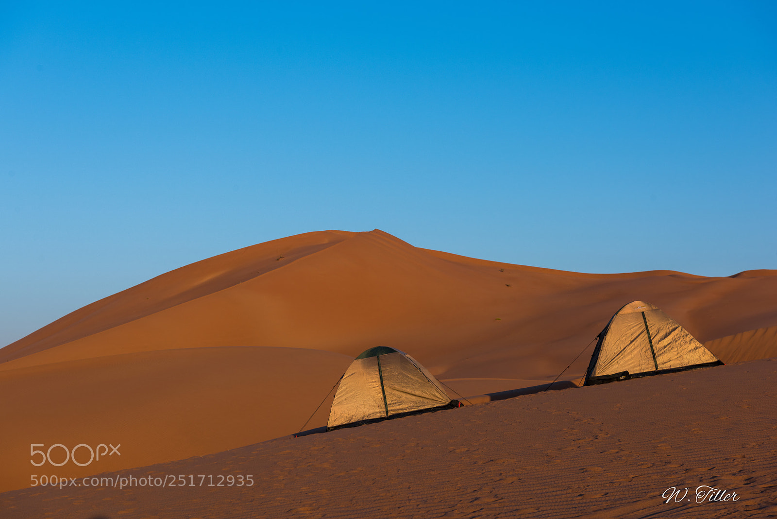Nikon D810 sample photo. Rub al-kahli photography