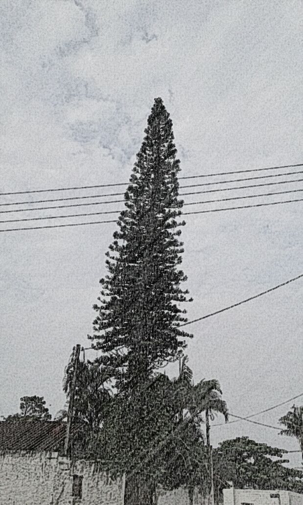 Samsung Galaxy J1(2016) sample photo