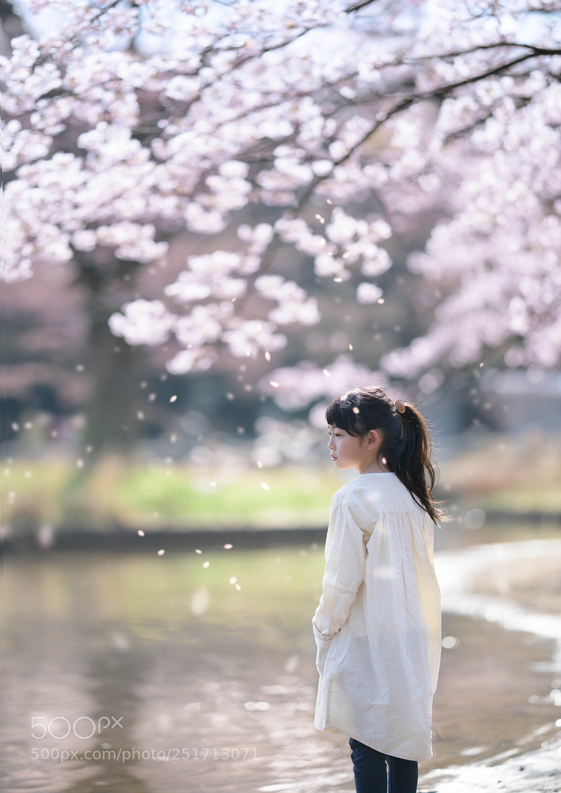 Nikon D850 sample photo. Changes of the spring photography
