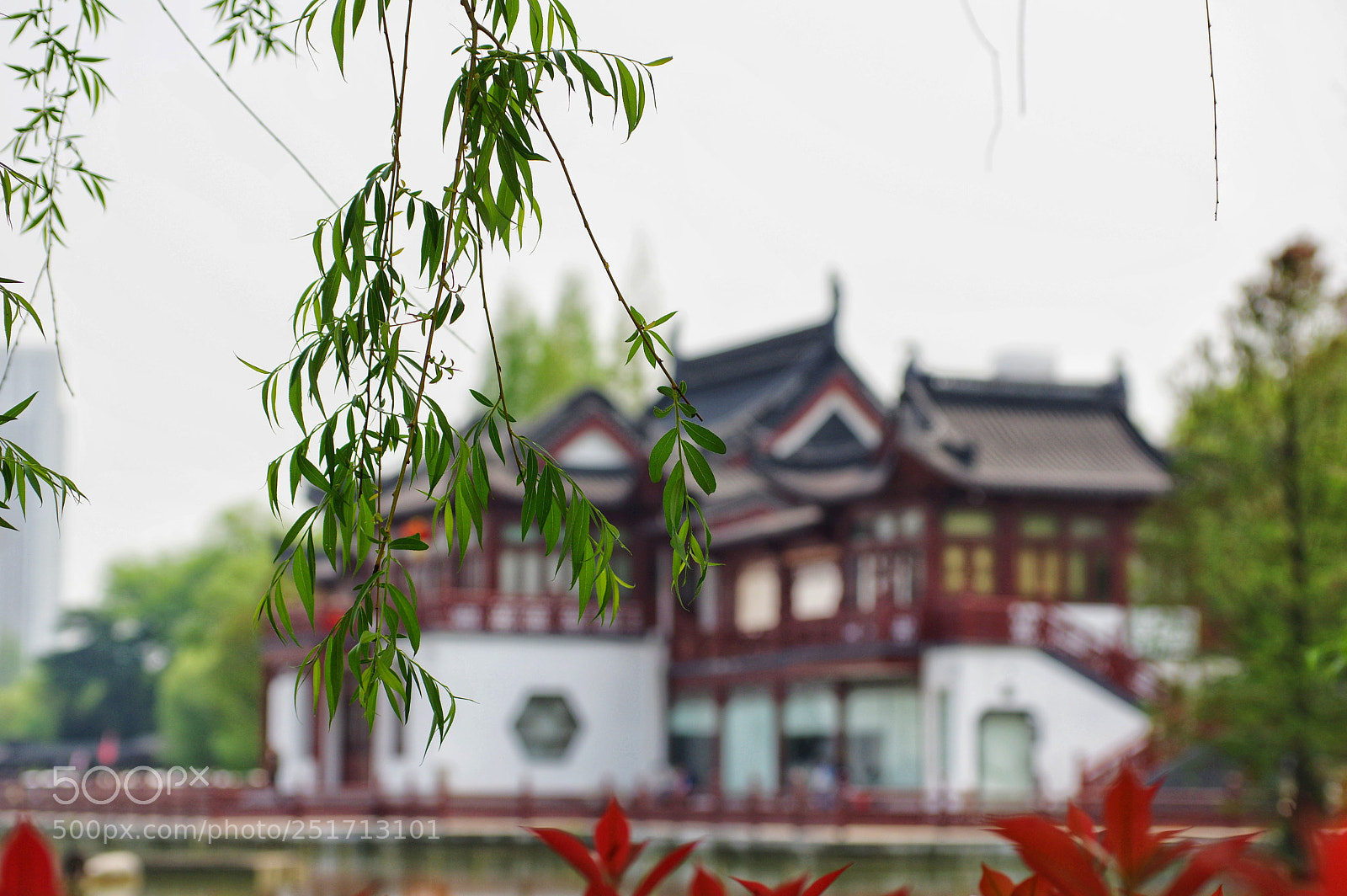 Pentax K-3 II sample photo. Untitled photography