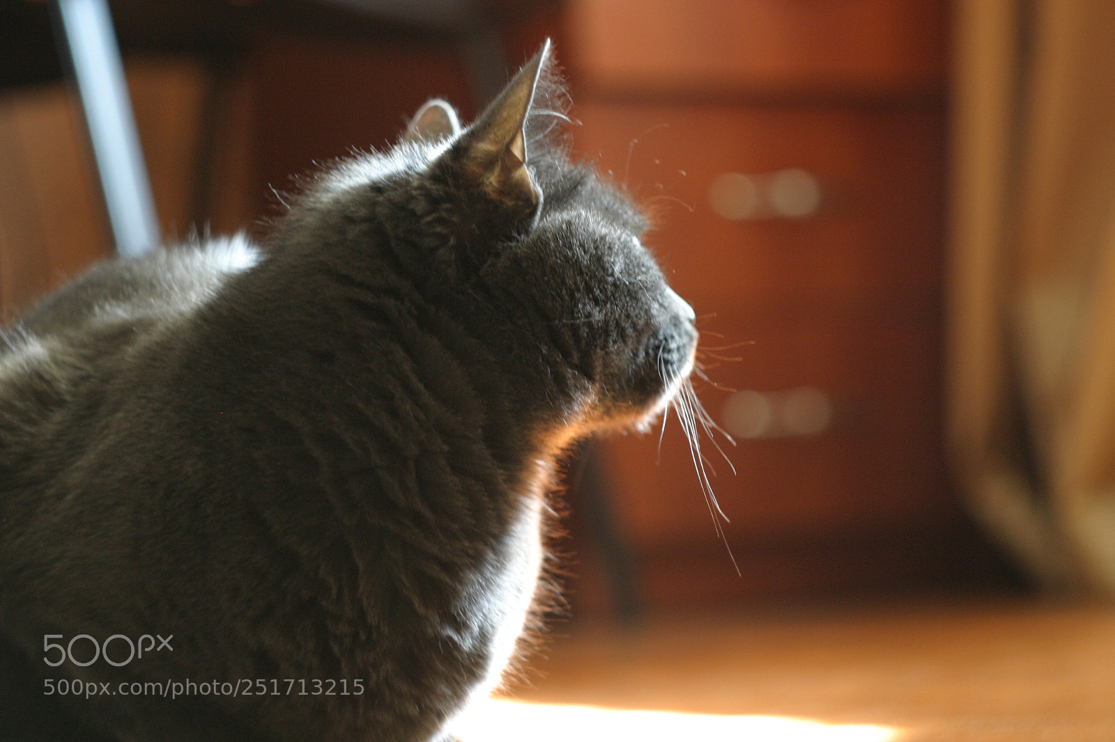 Canon EOS 10D sample photo. Untitled photography