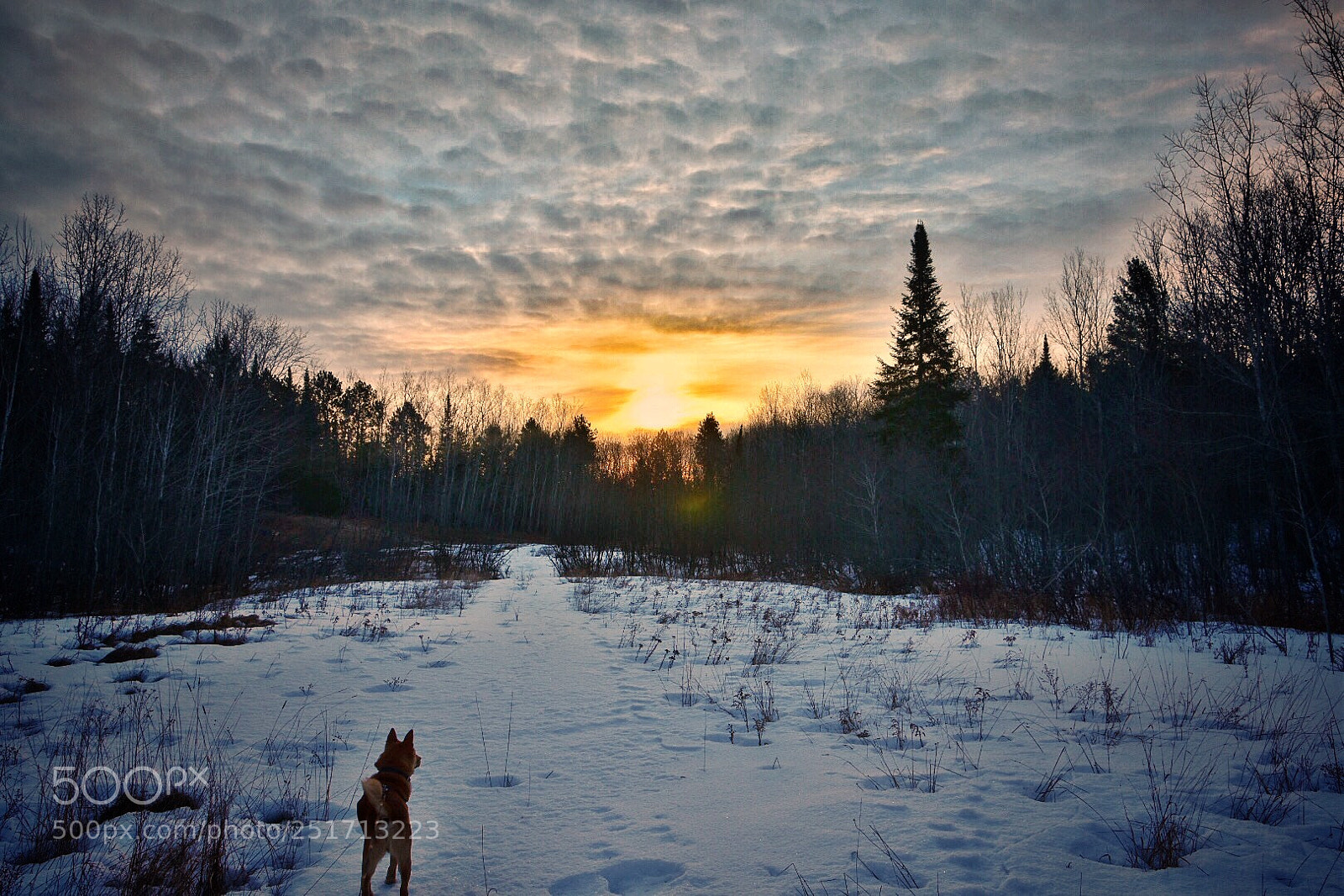 Nikon D7200 sample photo. The north  photography