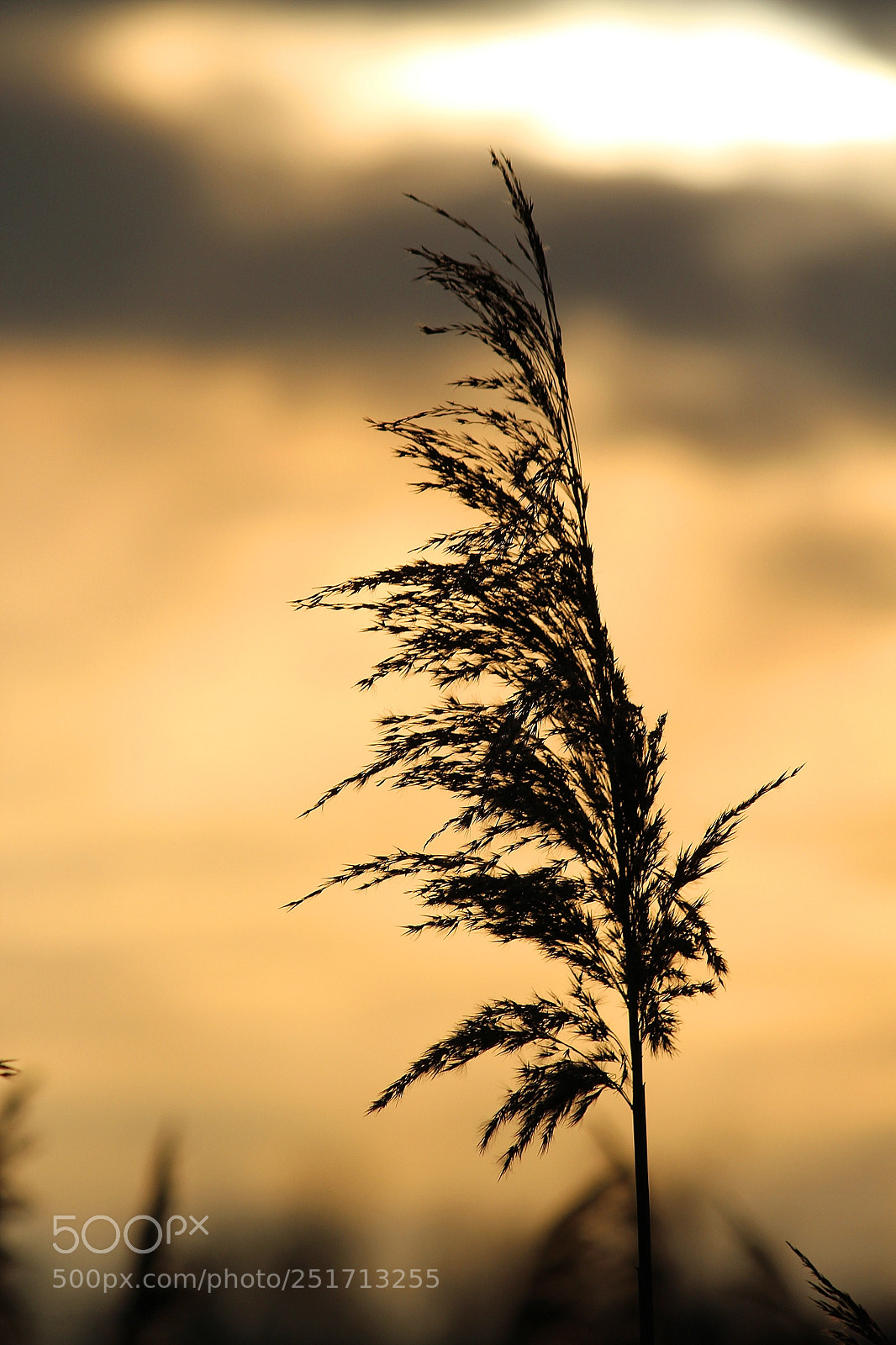 Canon EOS 1200D (EOS Rebel T5 / EOS Kiss X70 / EOS Hi) sample photo. Sunset at the lake photography