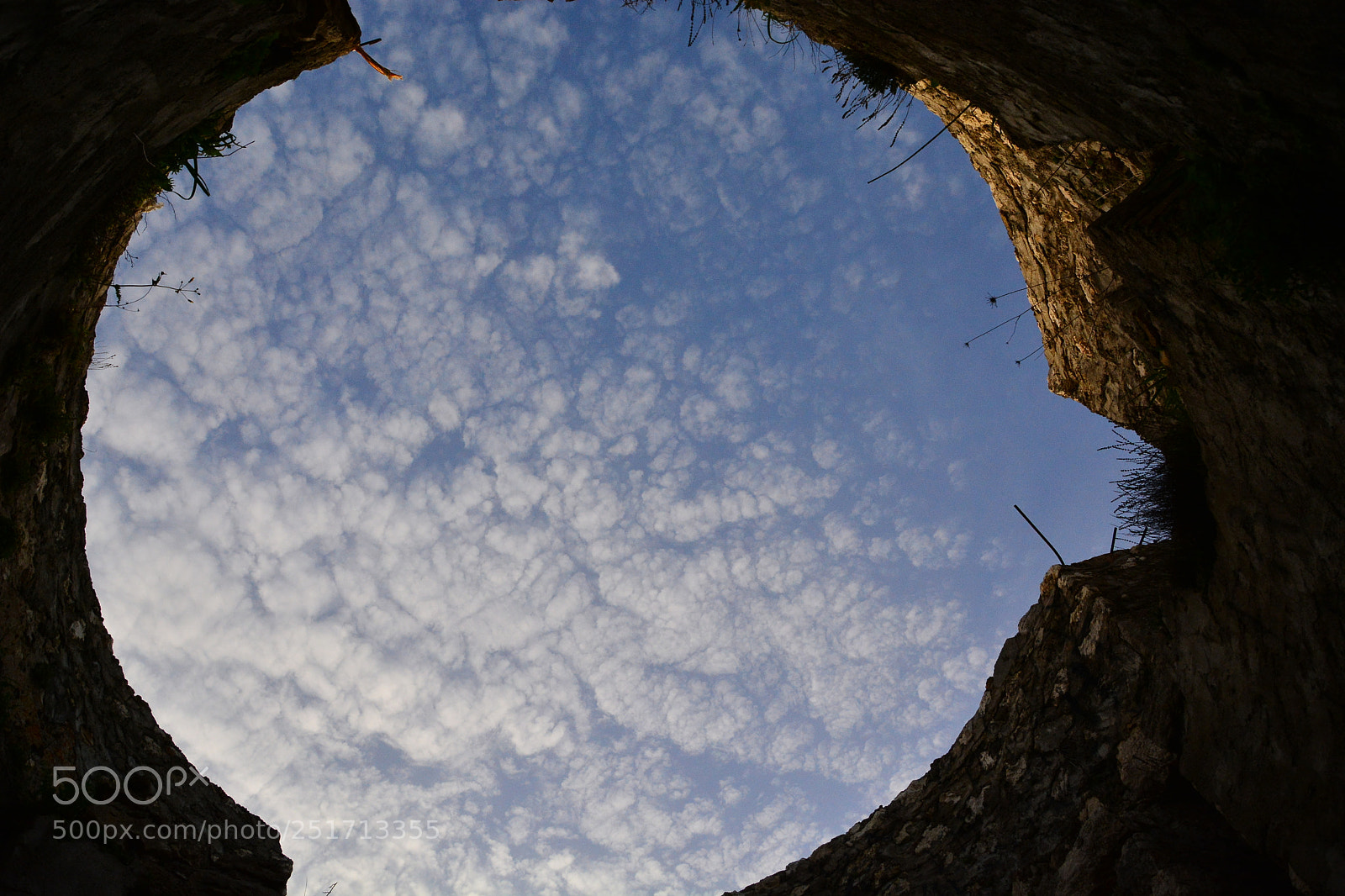 Nikon D5200 sample photo. L101 photography