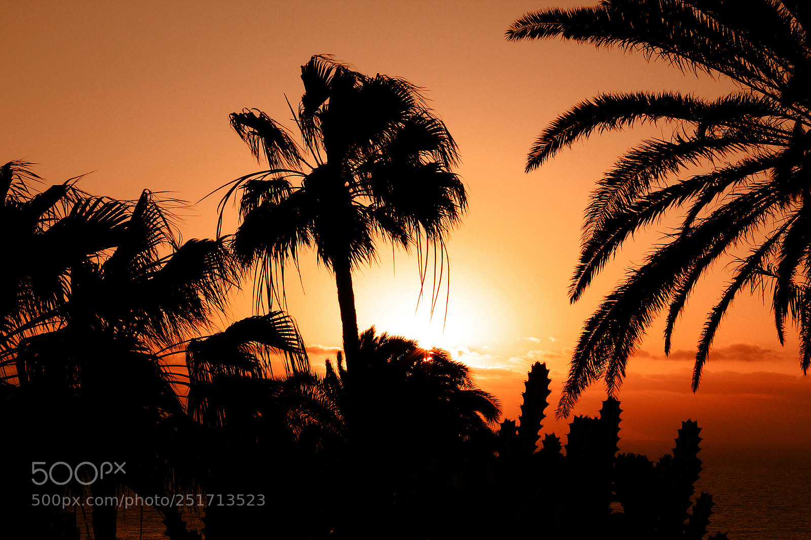 Canon EOS 1200D (EOS Rebel T5 / EOS Kiss X70 / EOS Hi) sample photo. A fuerte sunrise photography