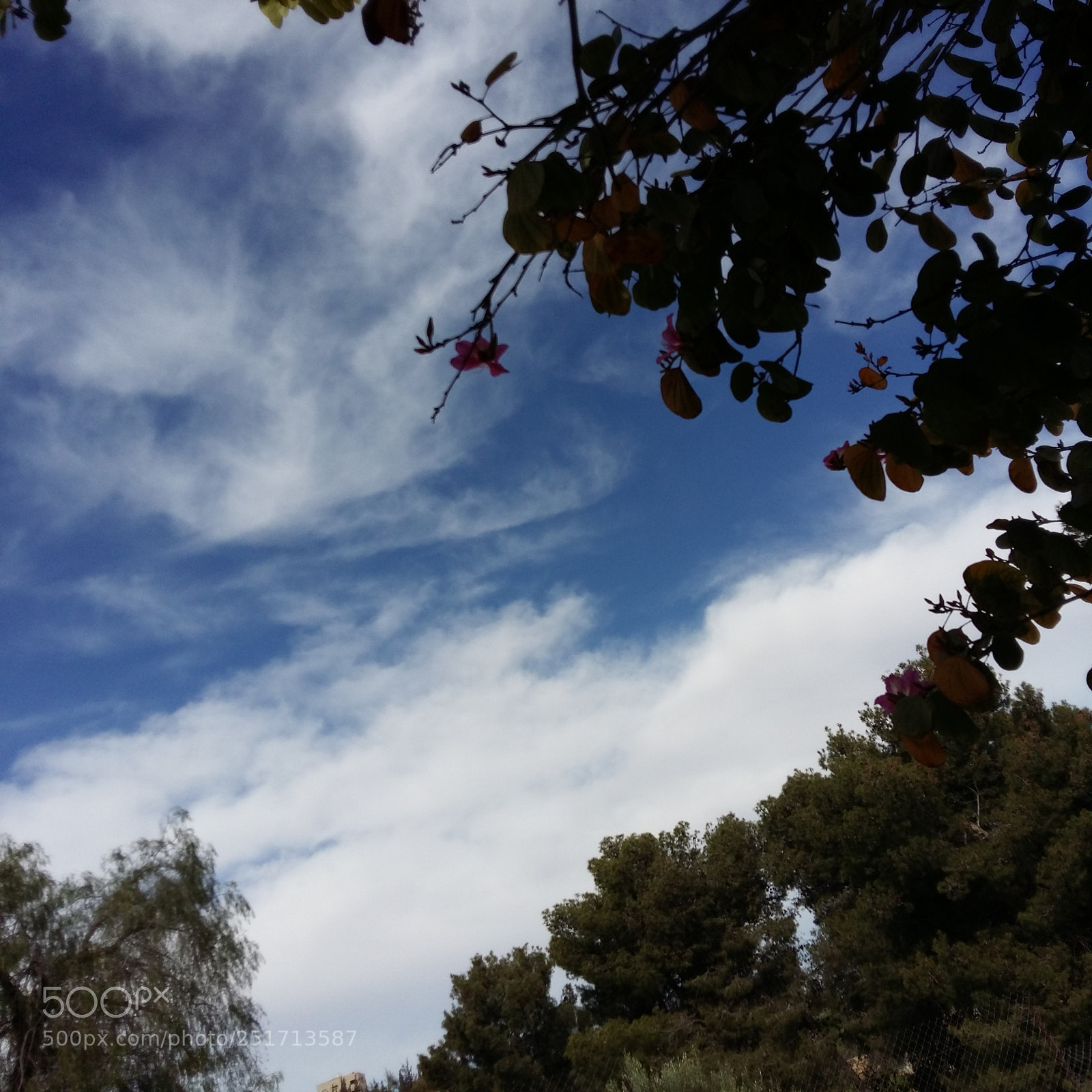 Samsung Galaxy A5 sample photo. Untitled photography