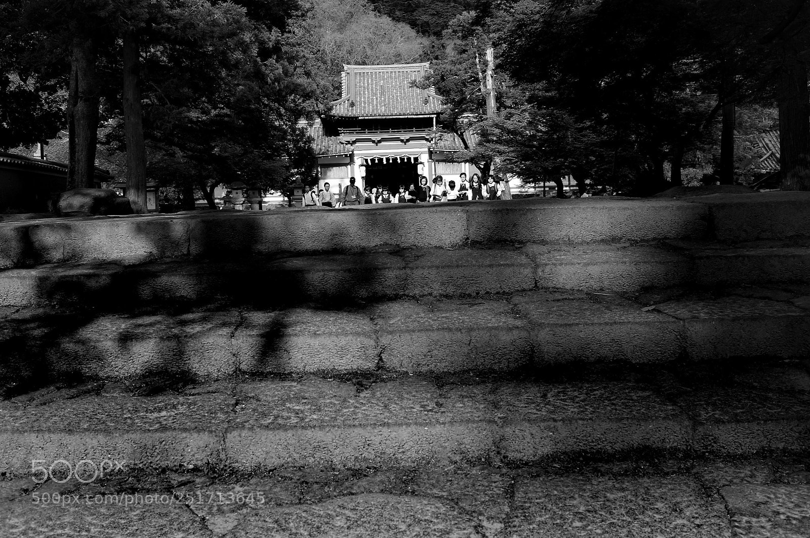 Sony Alpha NEX-6 sample photo. In nara photography