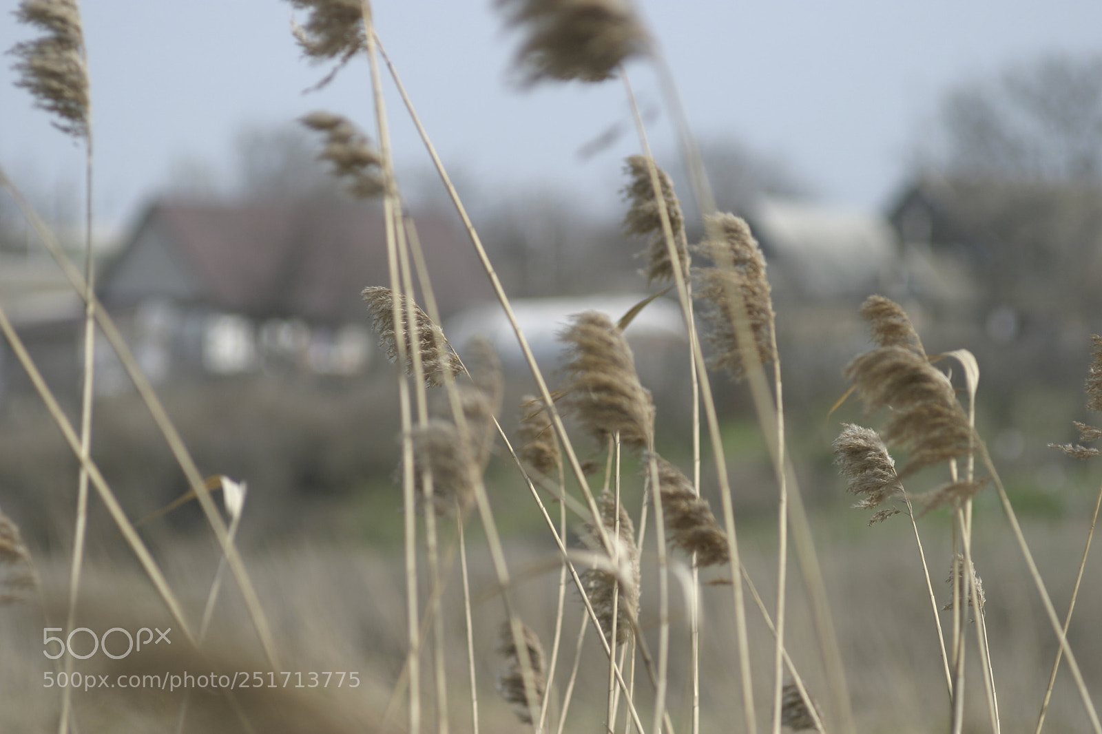 Canon EOS 10D sample photo. Untitled photography