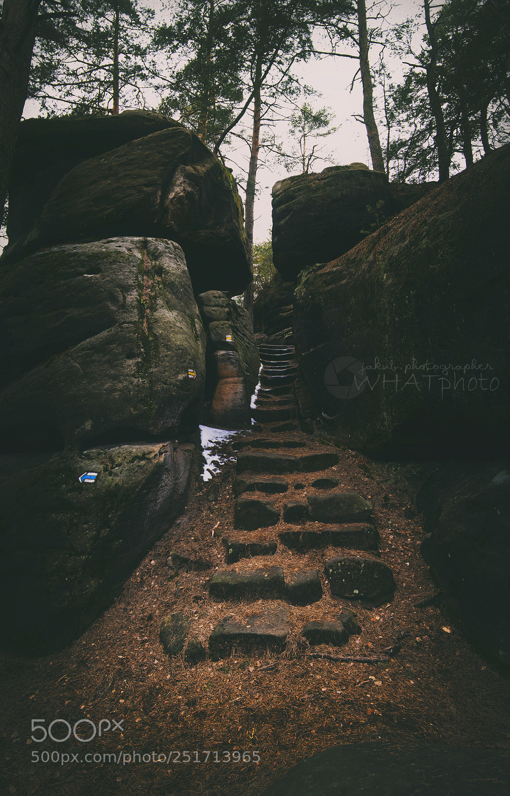 Nikon D5500 sample photo. Stairs to heaven or photography