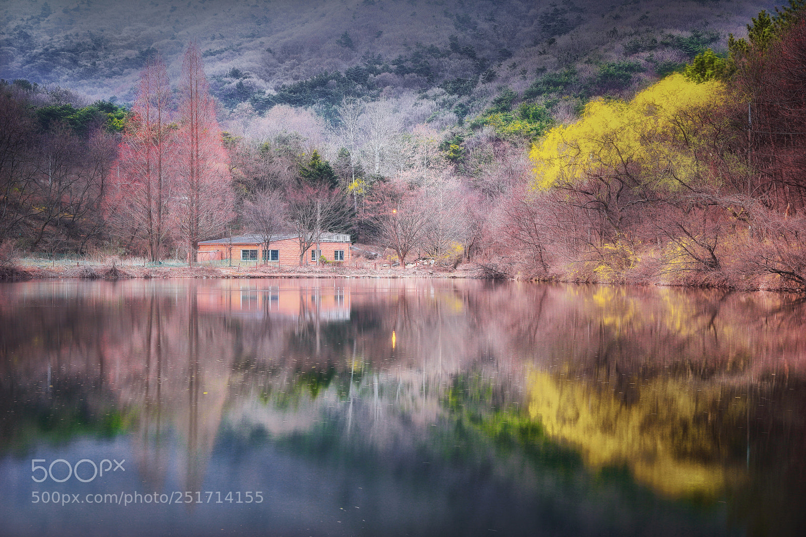 Canon EOS 6D Mark II sample photo. Lake reflection  photography