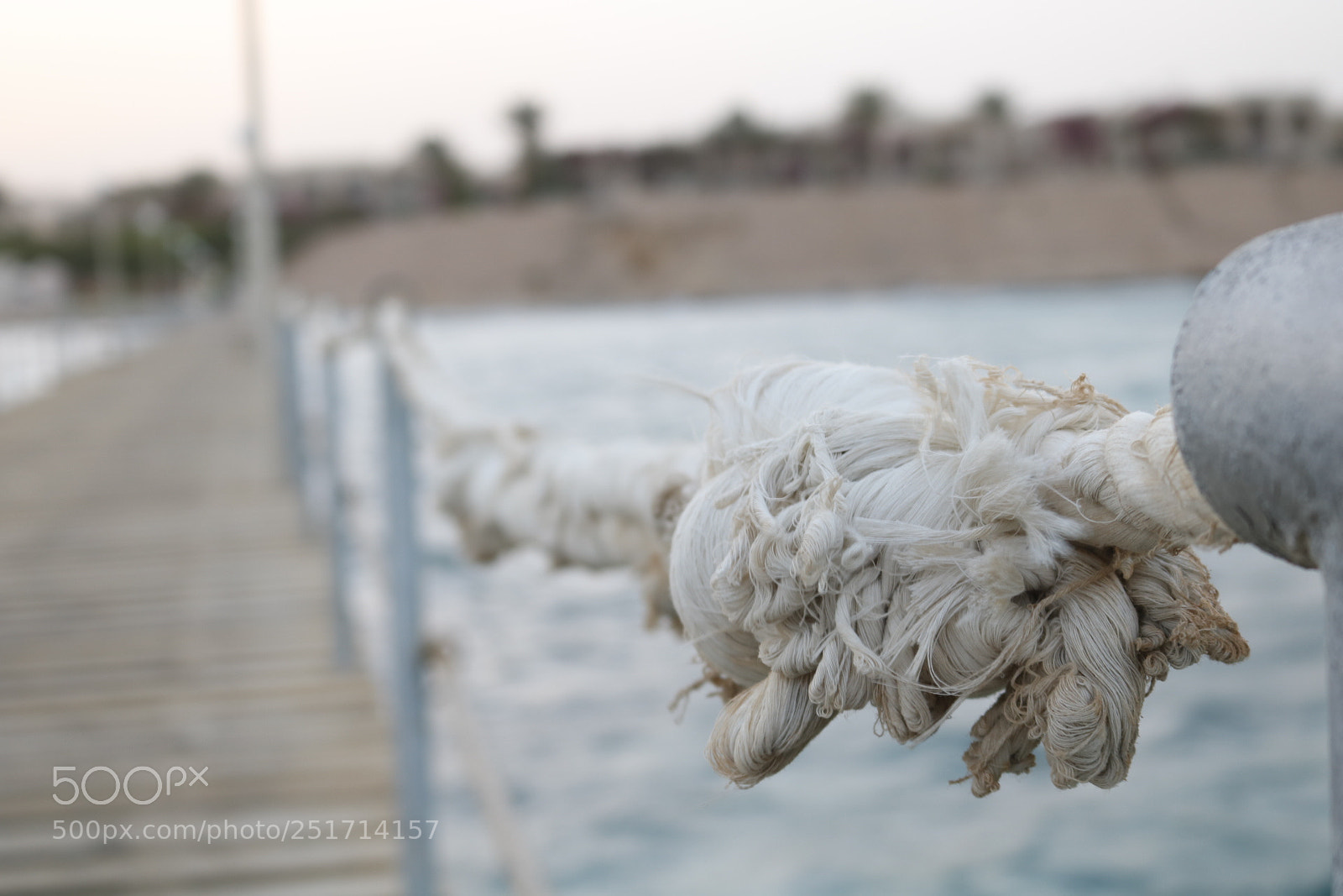 Canon EOS 750D (EOS Rebel T6i / EOS Kiss X8i) sample photo. Untitled photography
