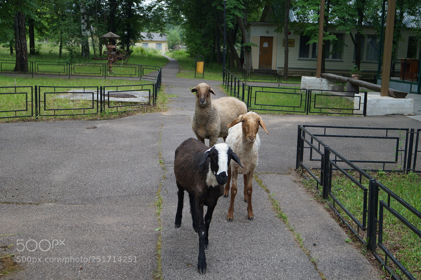 Sony SLT-A57 sample photo. Untitled photography