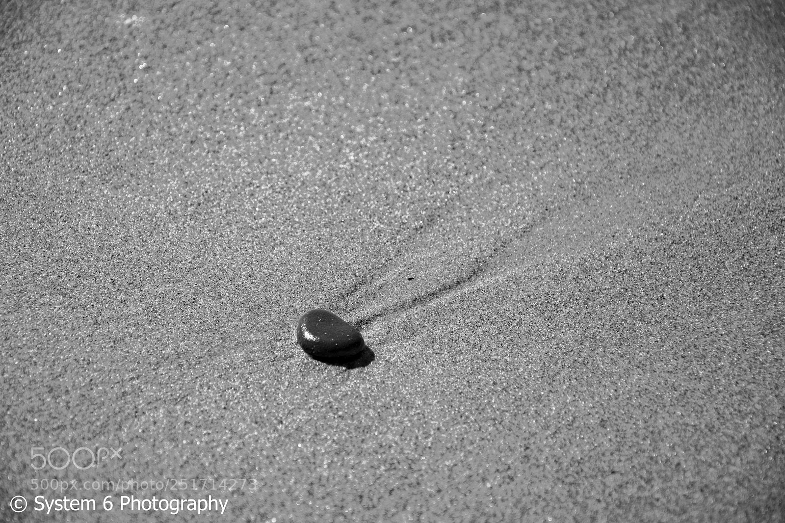 Nikon D7100 sample photo. . photography
