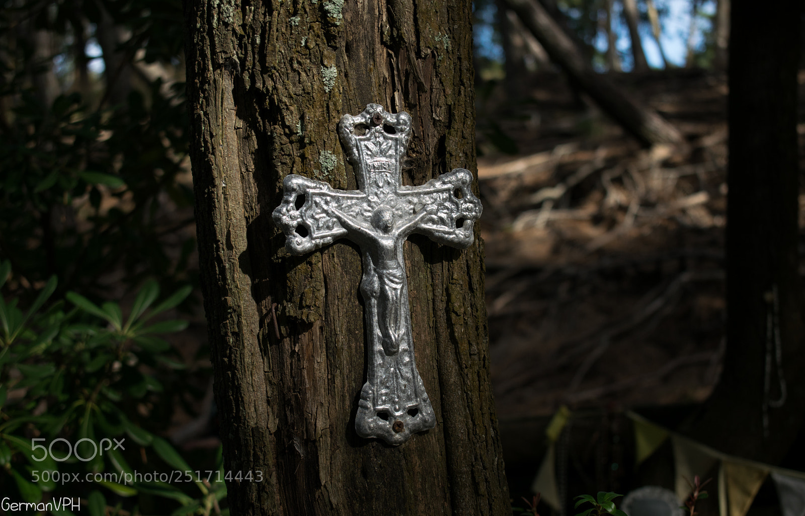 Nikon D5300 sample photo. Amén photography