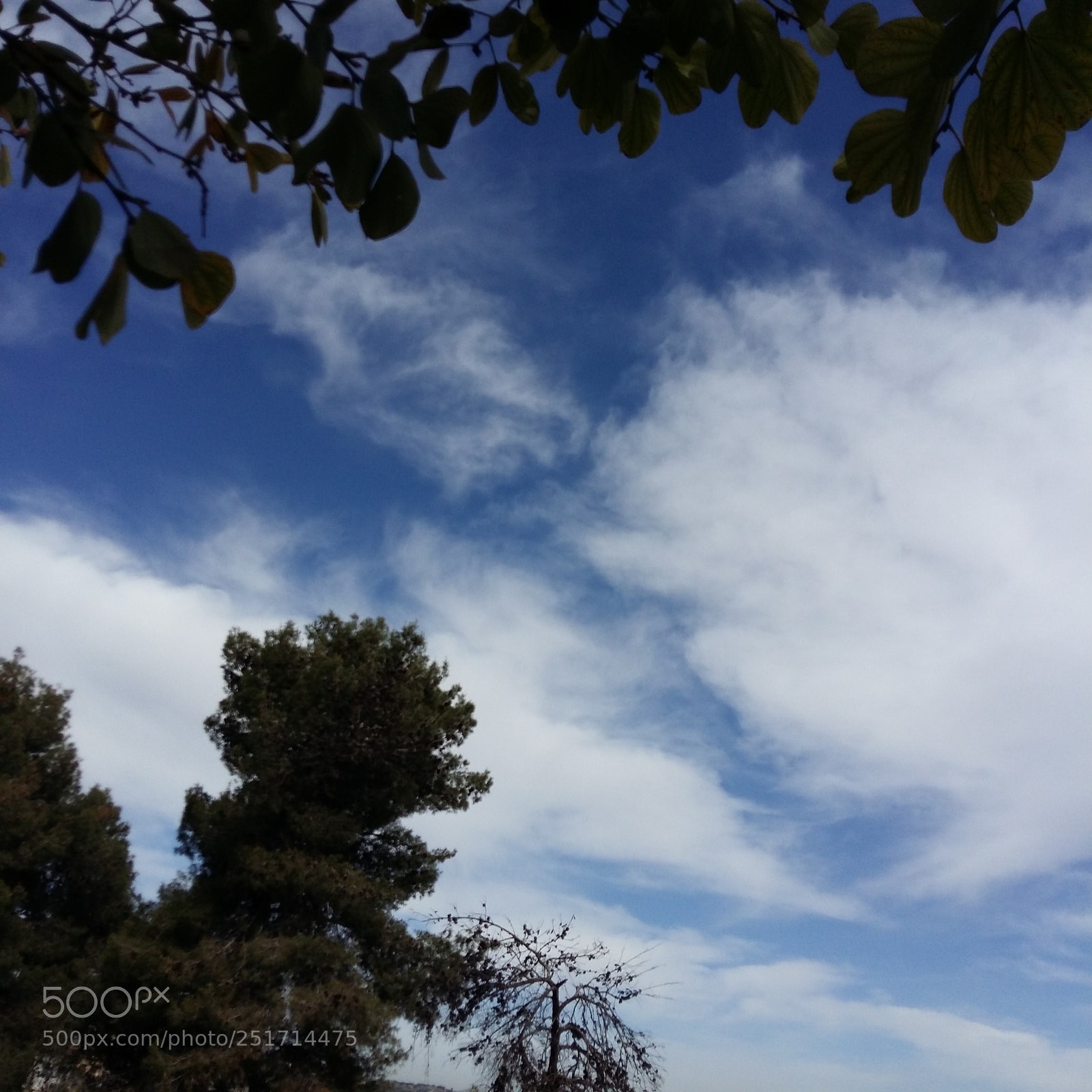 Samsung Galaxy A5 sample photo. Untitled photography