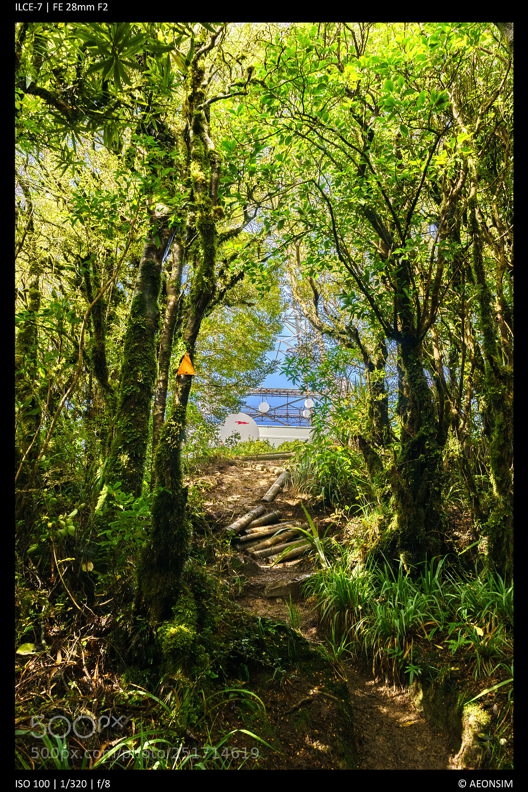 Sony a7 sample photo. End in sight photography