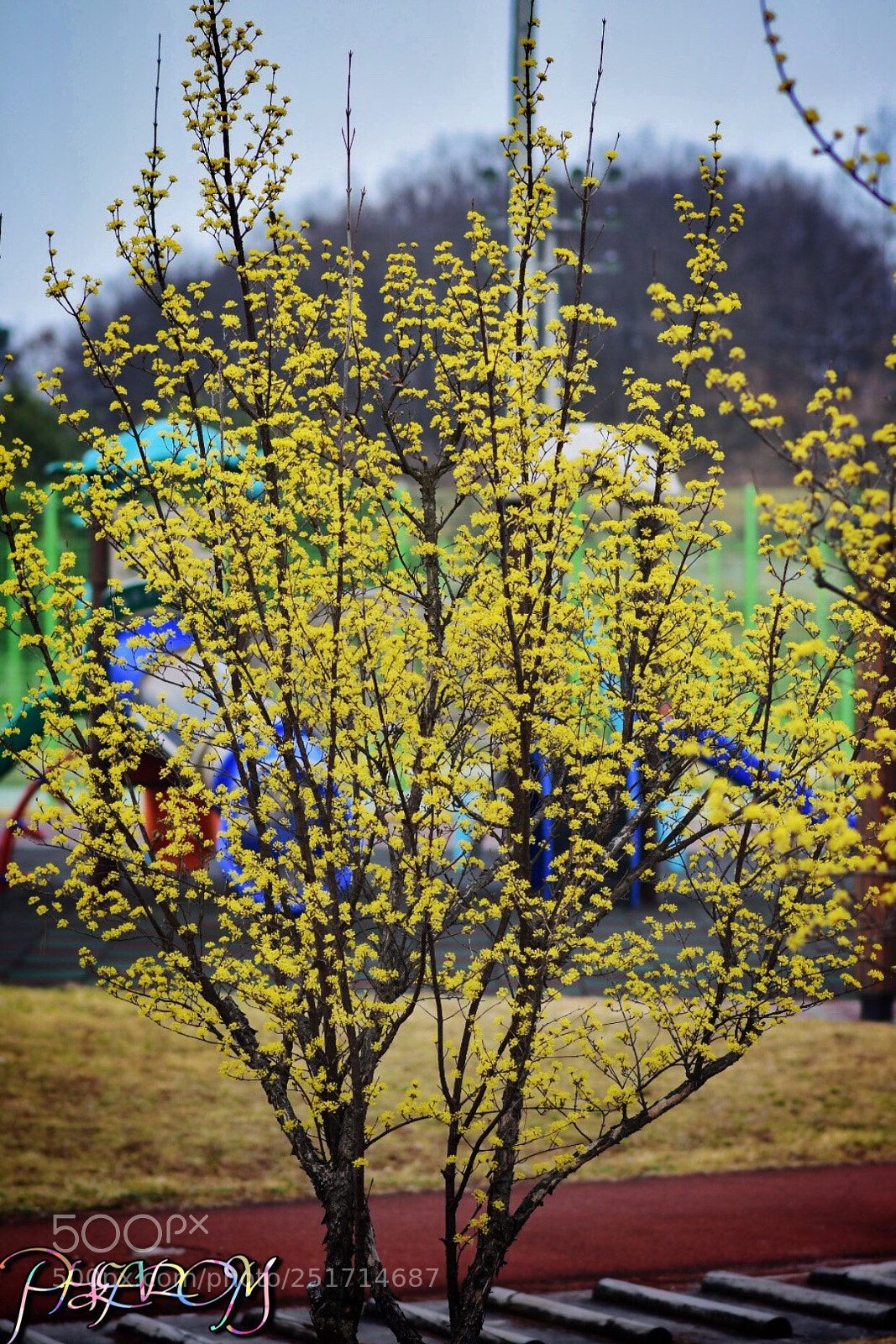 Nikon D7200 sample photo. Untitled photography