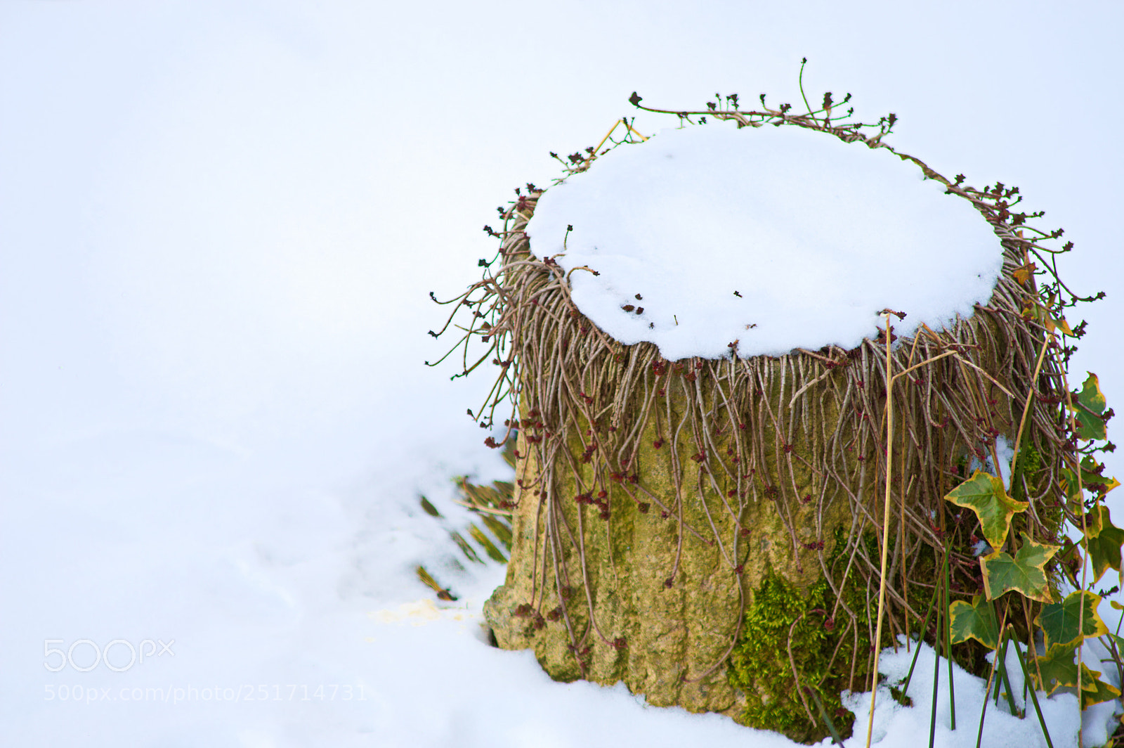 Nikon D3200 sample photo. March snow photography