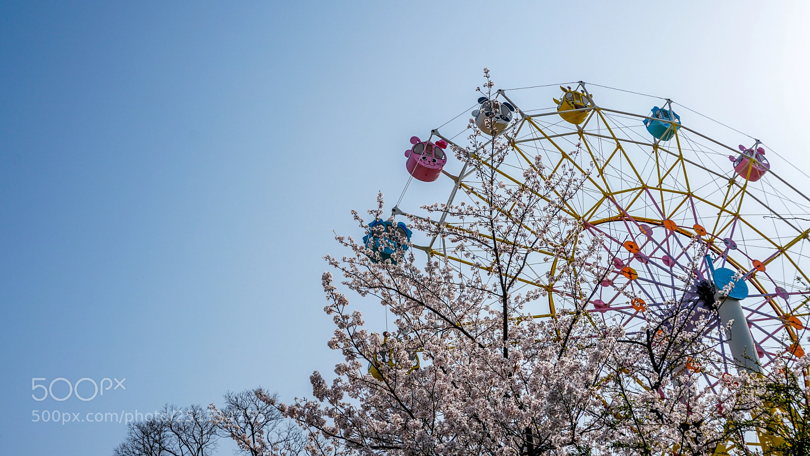 Sony a6300 sample photo. Oji zoo photography