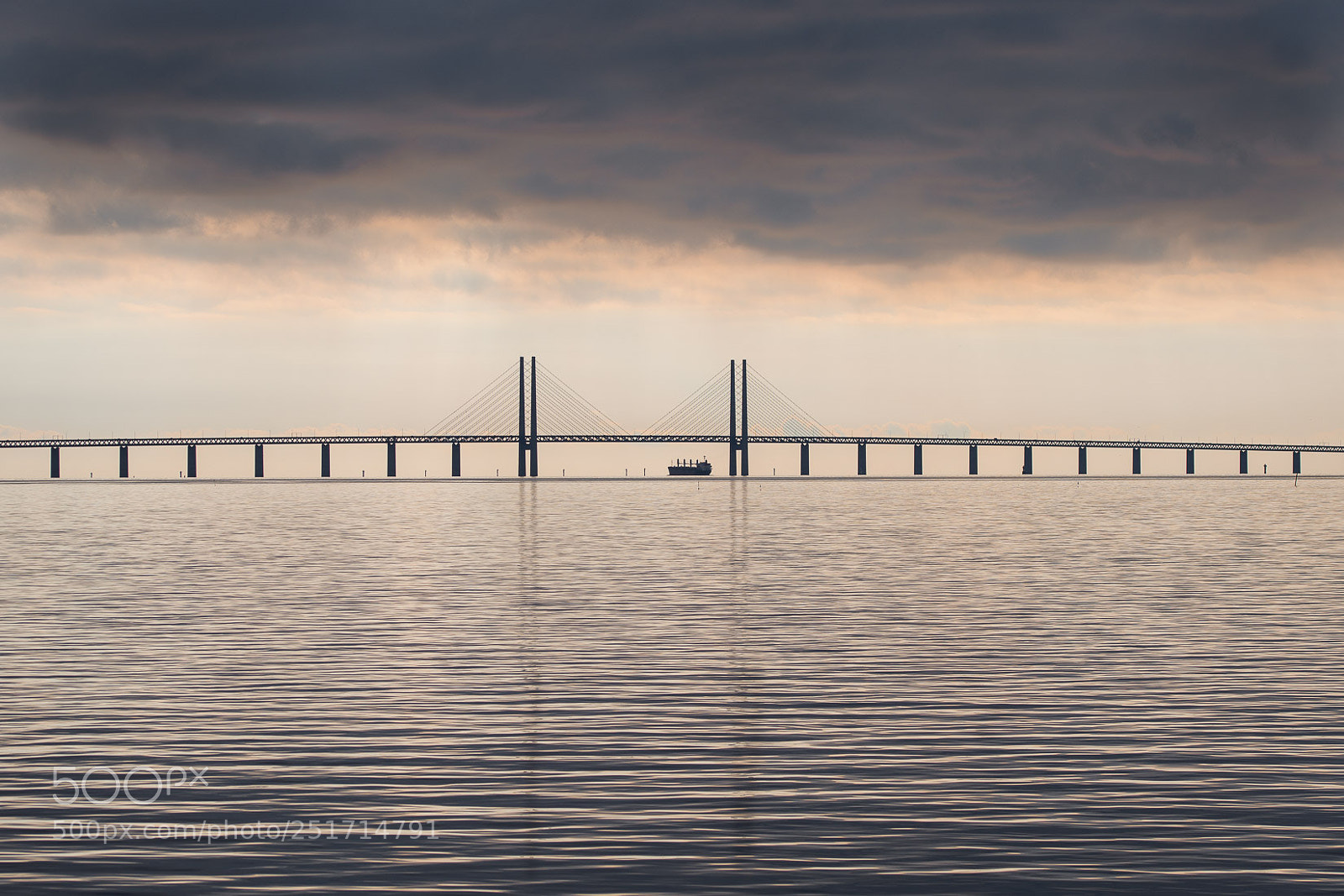 Nikon D500 sample photo. The bridge photography