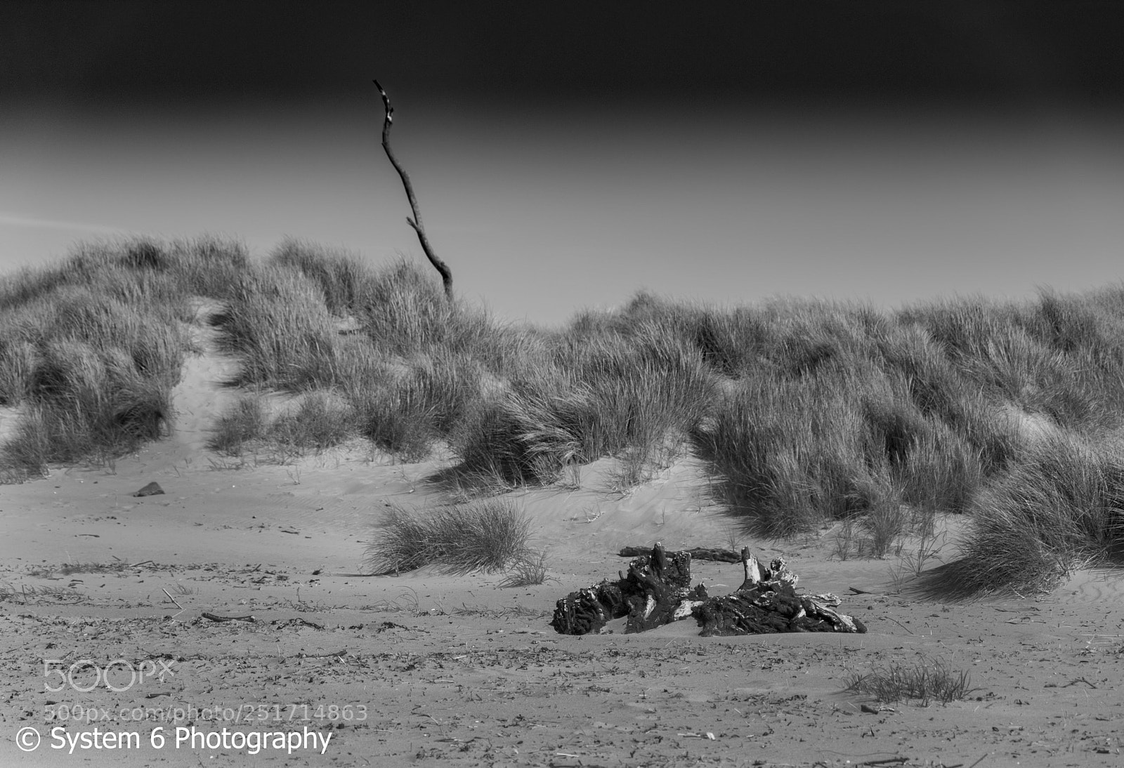 Nikon D7100 sample photo. . photography