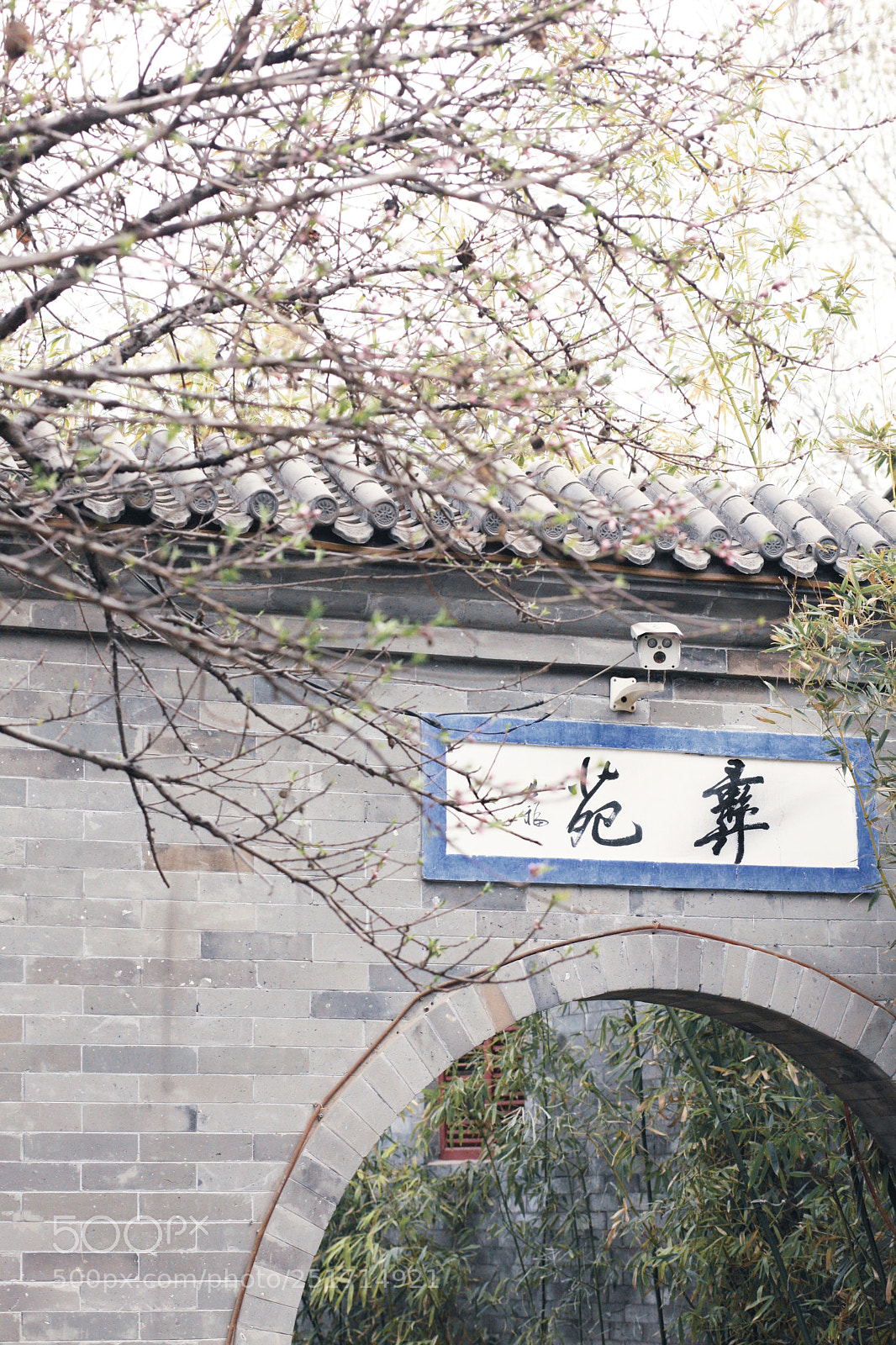Canon EOS 5D Mark II sample photo. Yi yuan photography