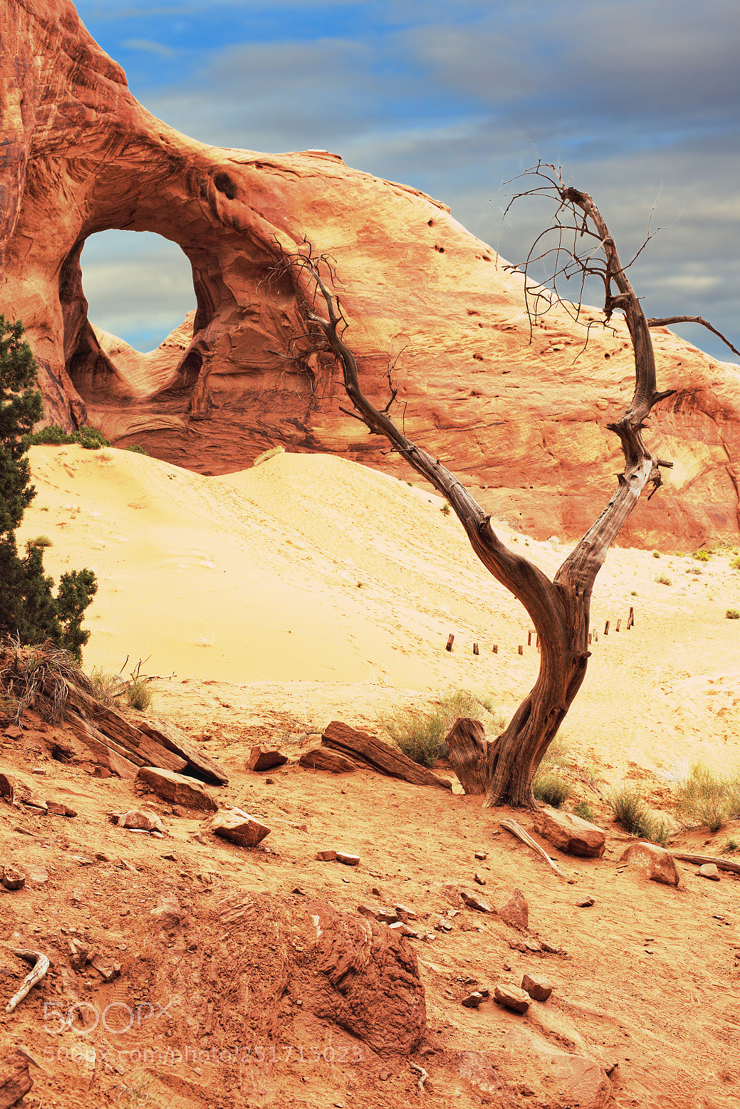 Nikon D810 sample photo. Ear of the wind photography