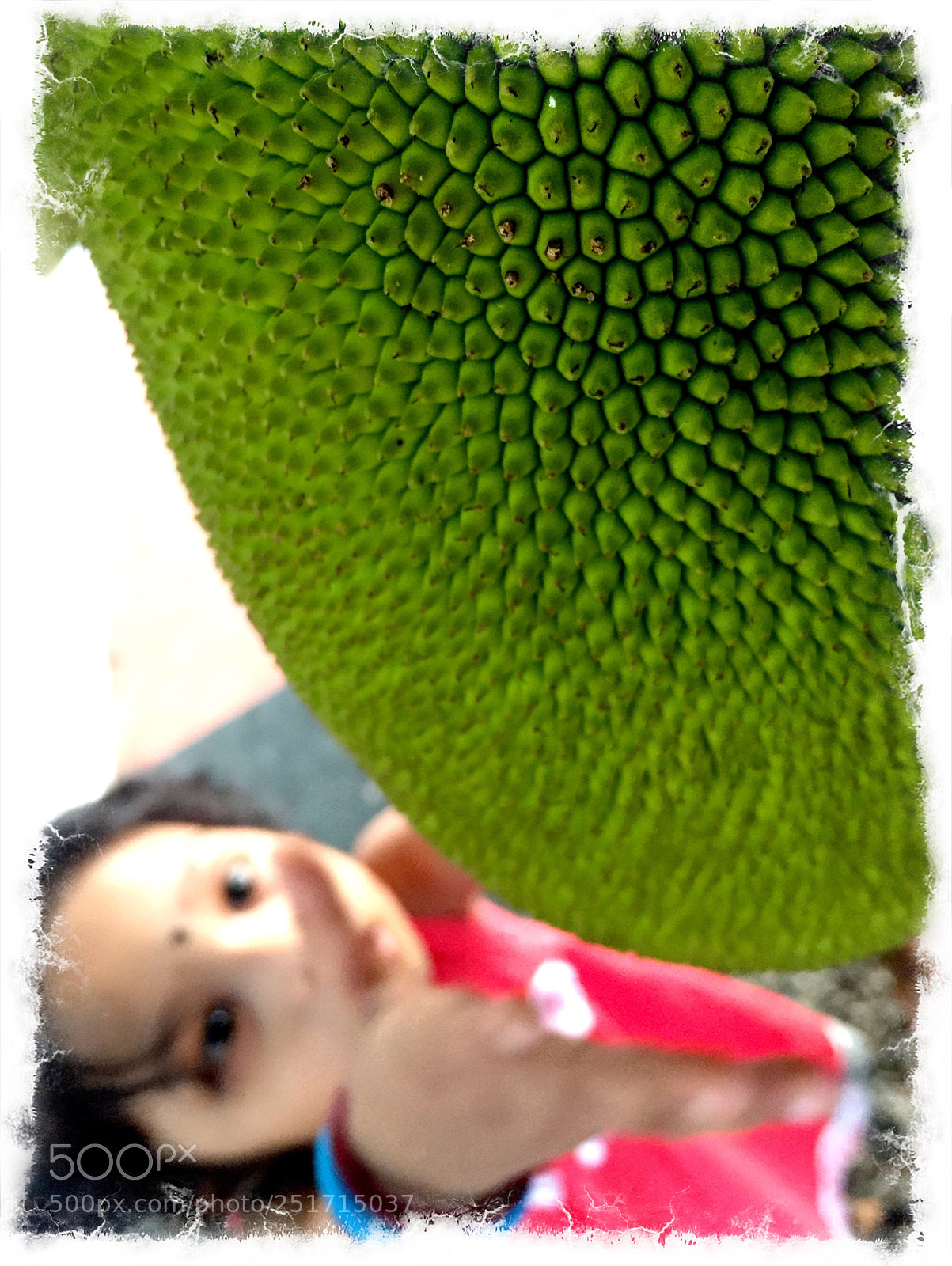 Apple iPhone 6 sample photo. Untitled photography