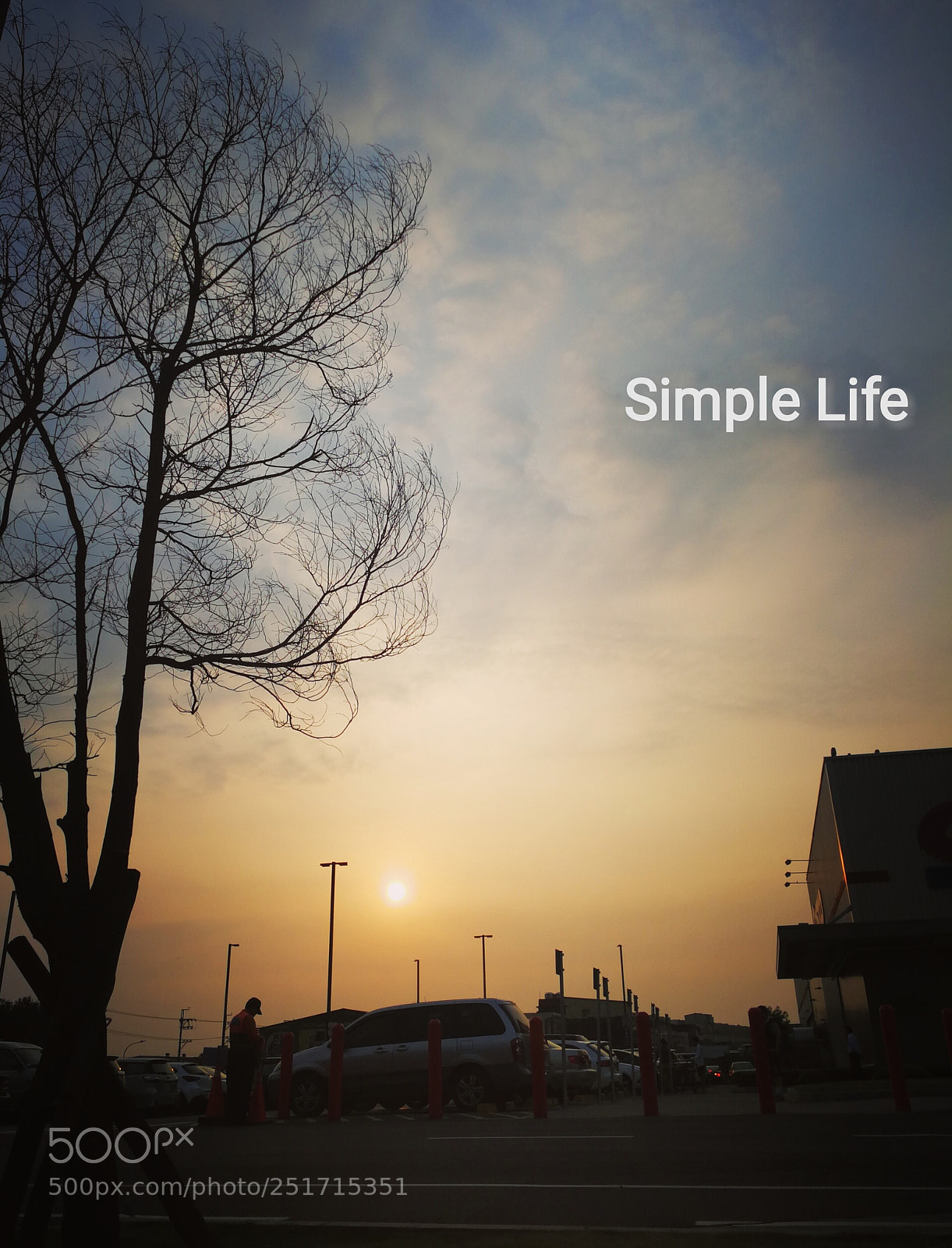 HUAWEI Mate 9 sample photo. Simple life photography
