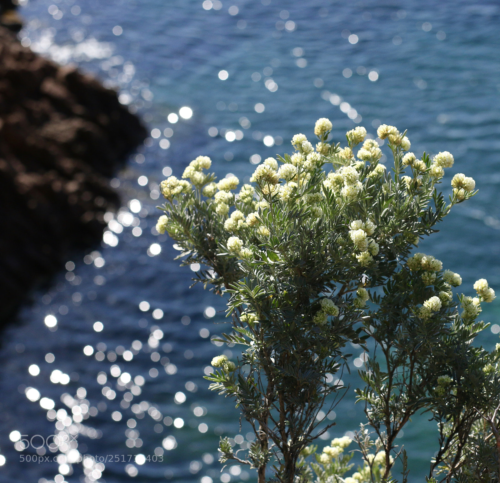 Canon EOS 70D sample photo. Happy easter! photography