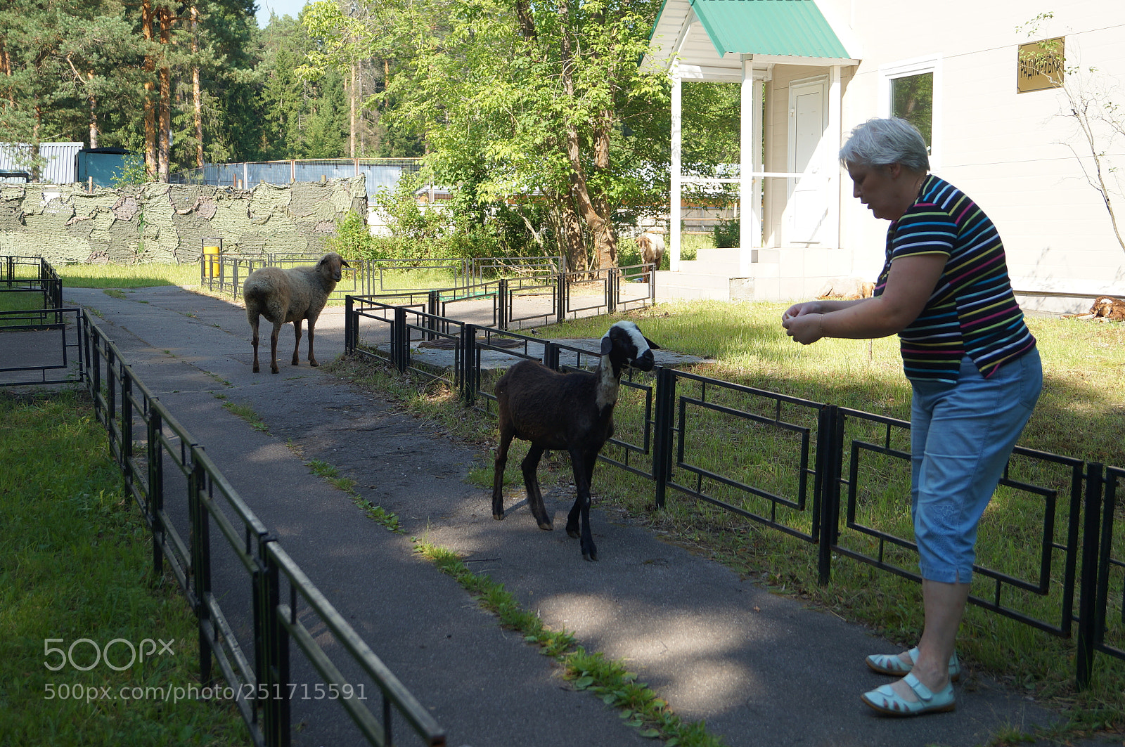 Sony SLT-A57 sample photo. Untitled photography