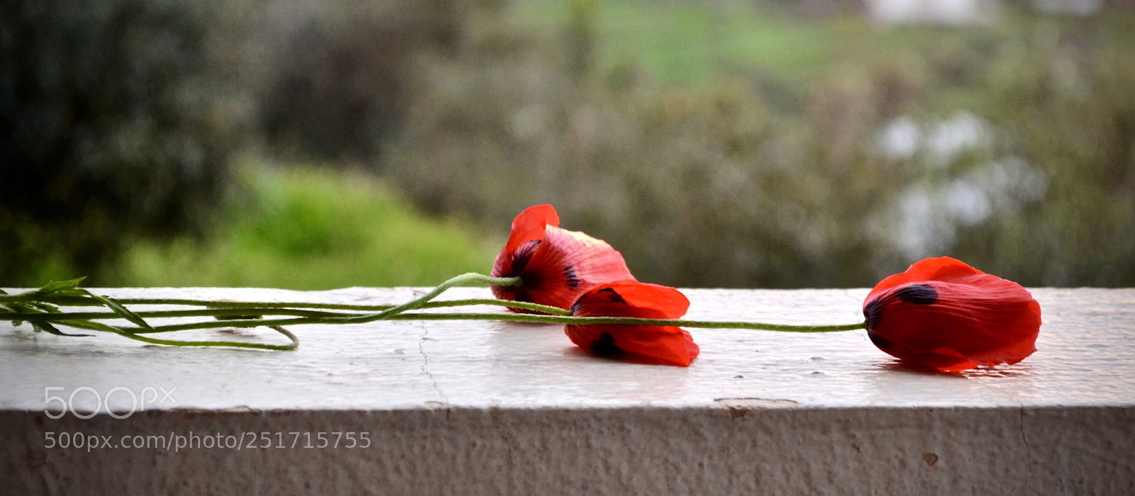 Nikon D5100 sample photo. Early morning,,, photography